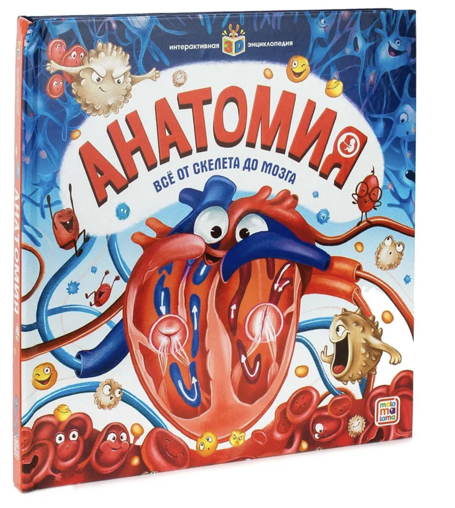 Анатомия - интерактивная энциклопедия с панорамными иллюстрациями. Всё от скелета до мозга