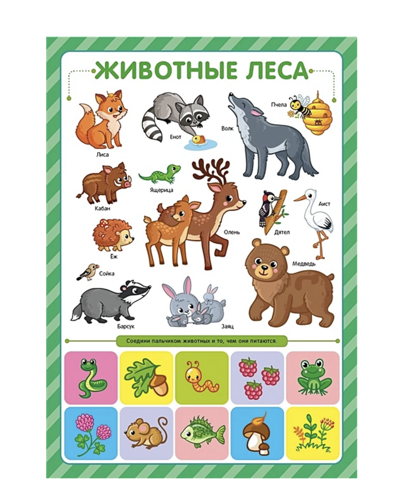 Обучающие плакаты. Знания для дошкольников