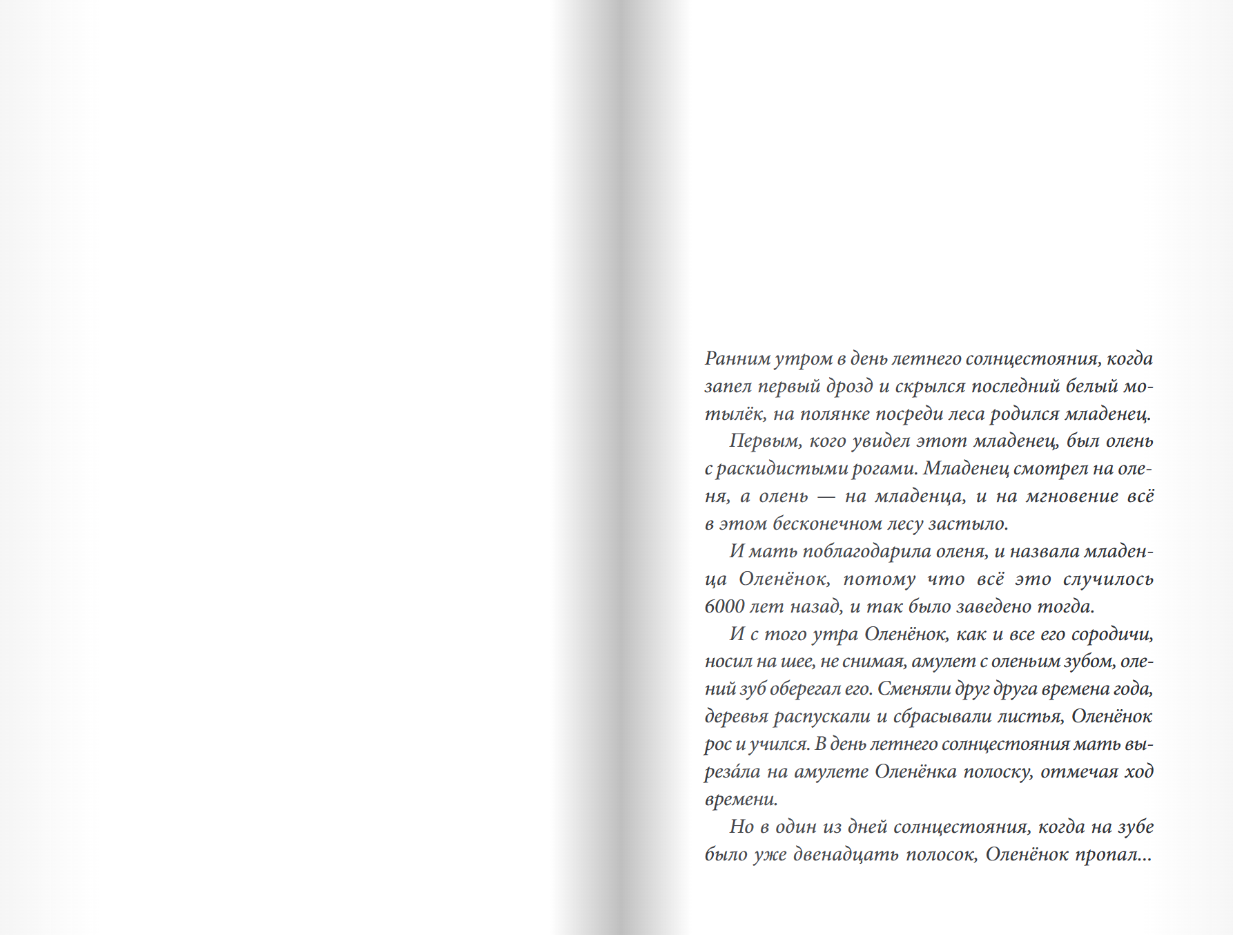 Дикий путь домой. Софи Кёртли