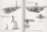 Заяц и кролики. Тимоте Ле Веэль