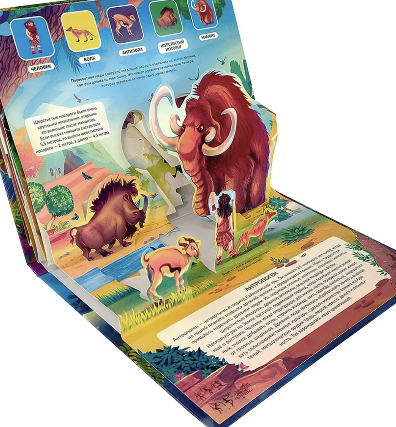Динозавры. Энциклопедия. Pop up. Книжка-панорамка