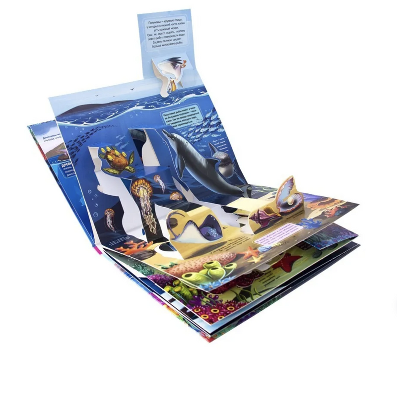 Море. Энциклопедия POP UP. Книжка-панорамка