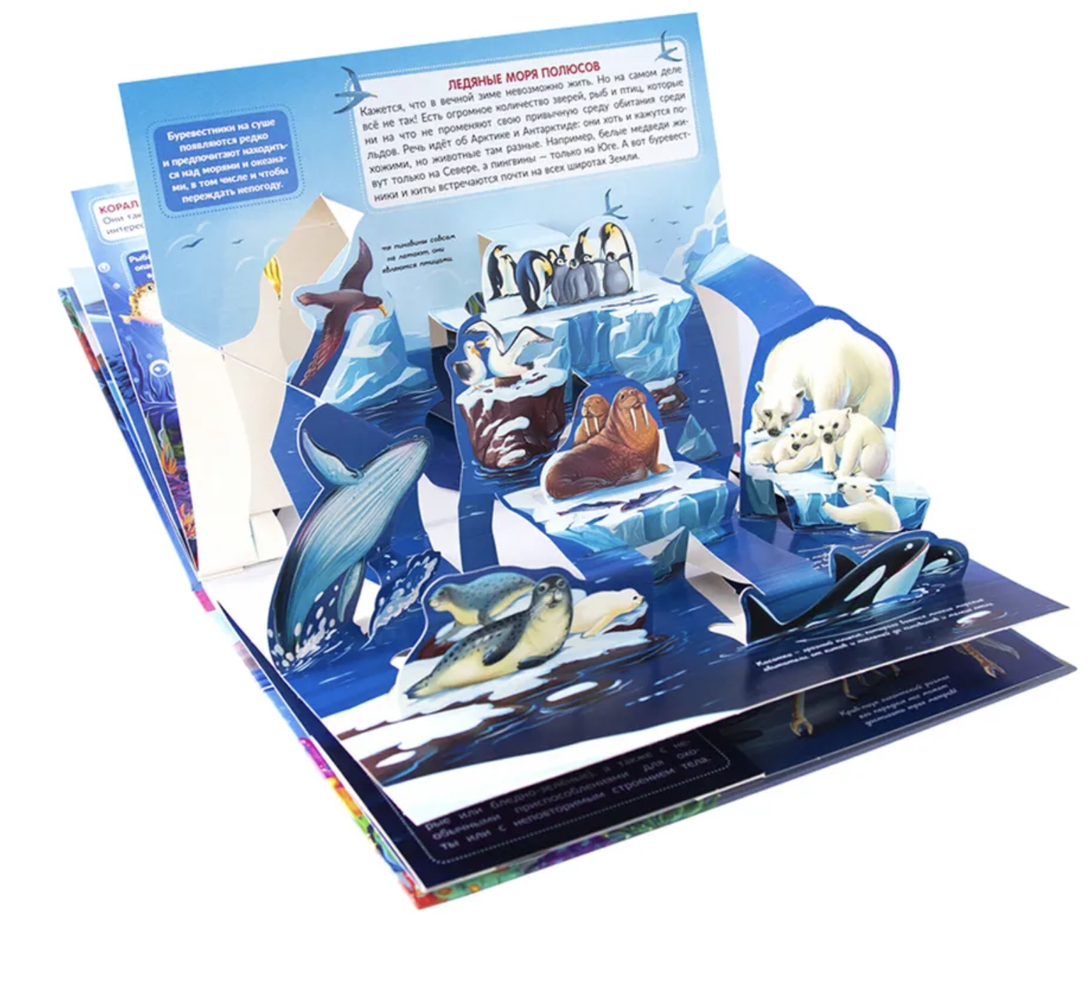 Море. Энциклопедия. Pop up. Книжка-панорамка