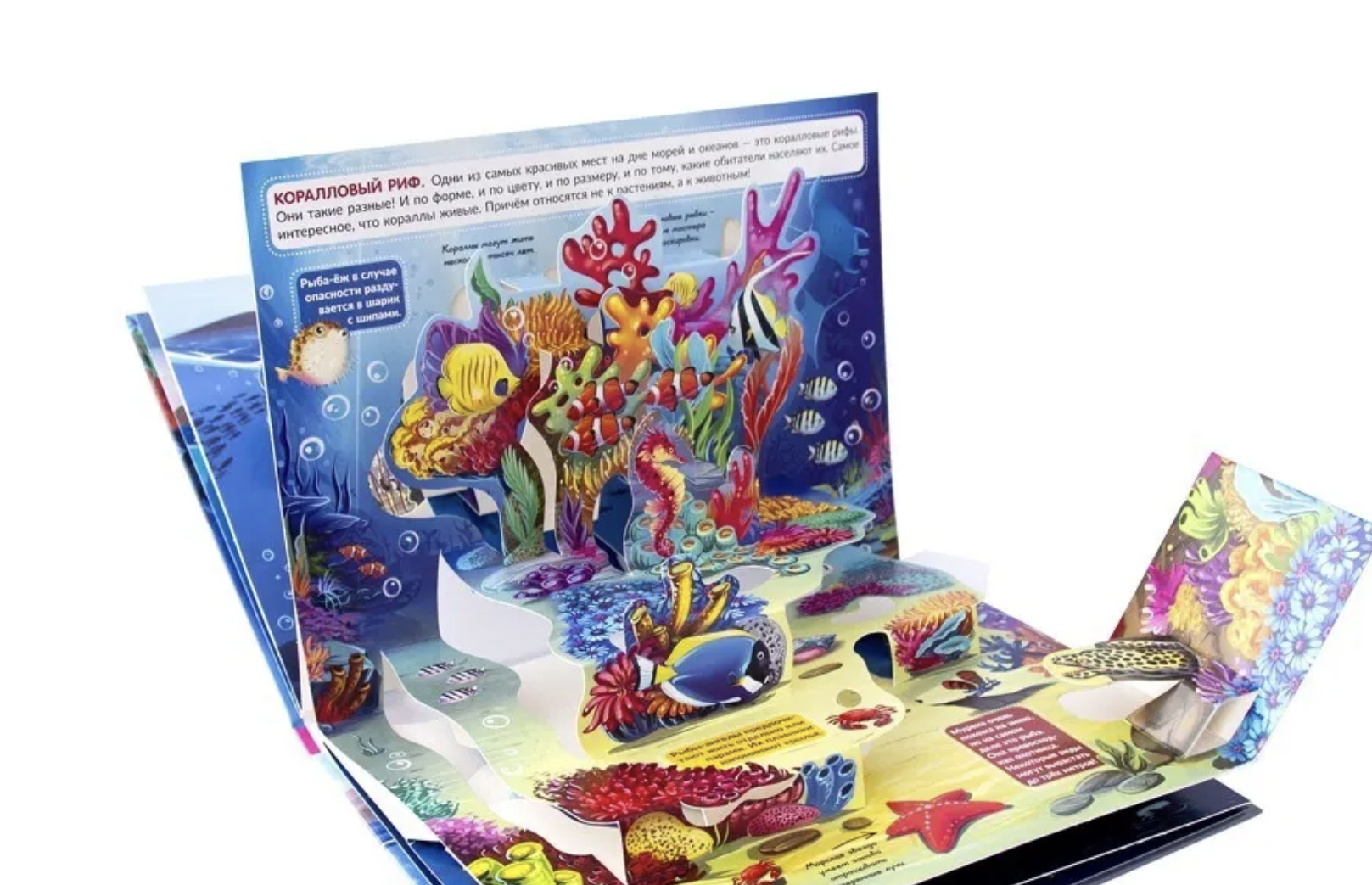 Море. Энциклопедия. Pop up. Книжка-панорамка