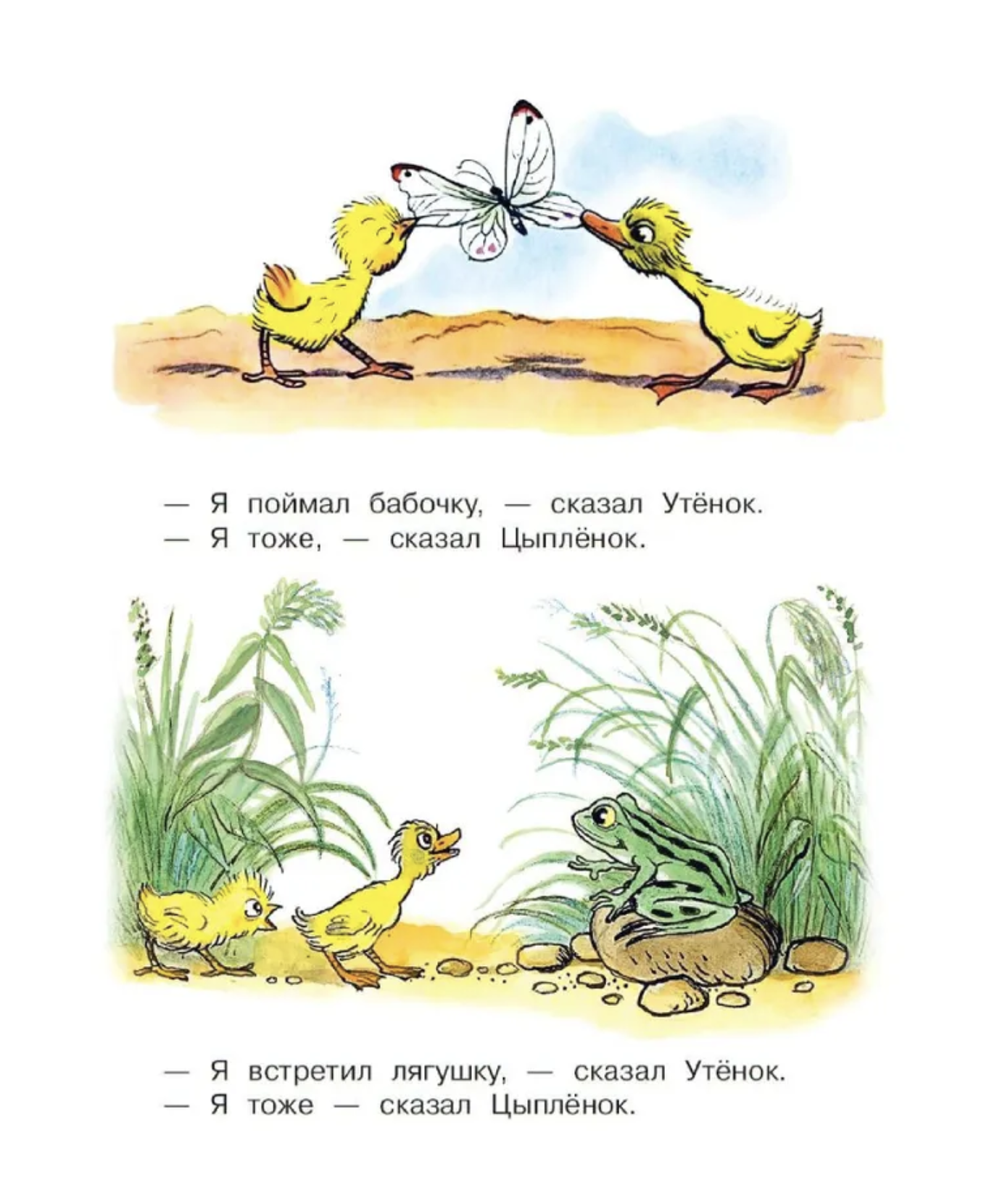 Цыплёнок и Утёнок. В.Сутеев, Малыш читай! Рисунки В.Сутеев