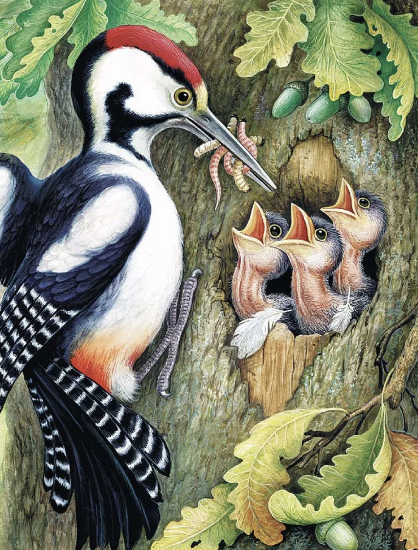 Чей нос лучше? Сказки. Бианки Виталий Валентинович