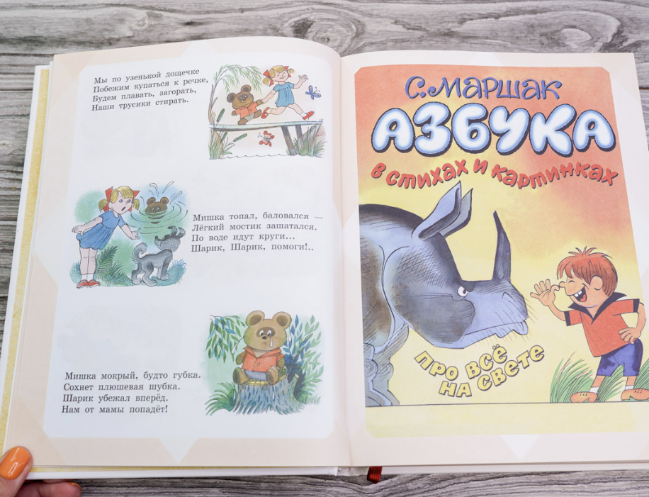 Большая книга стихов и сказок в рисунках В. Чижикова. Усачёв А., Барто А., Михалков С. и др.