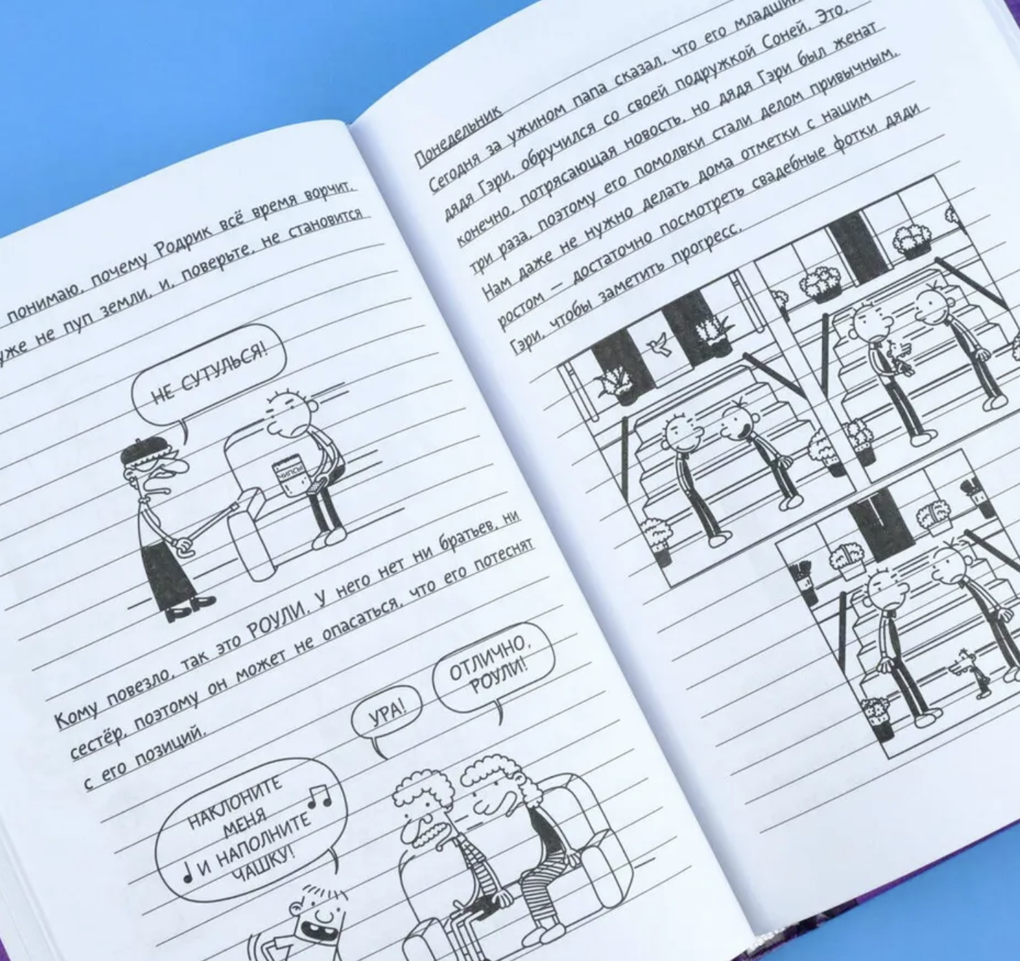 Дневник Слабака 5. Неприглядная правда. Кинни Джефф