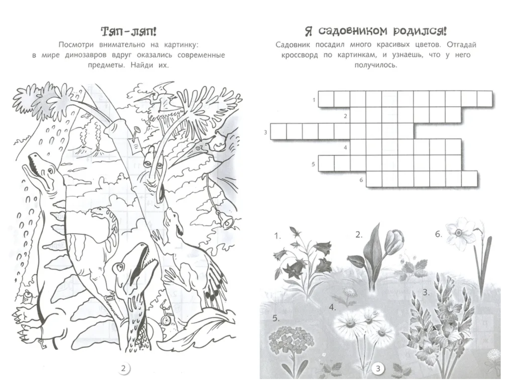 Кроссворды и головоломки для школьников. Развиваем память и внимание. Выпуск 6