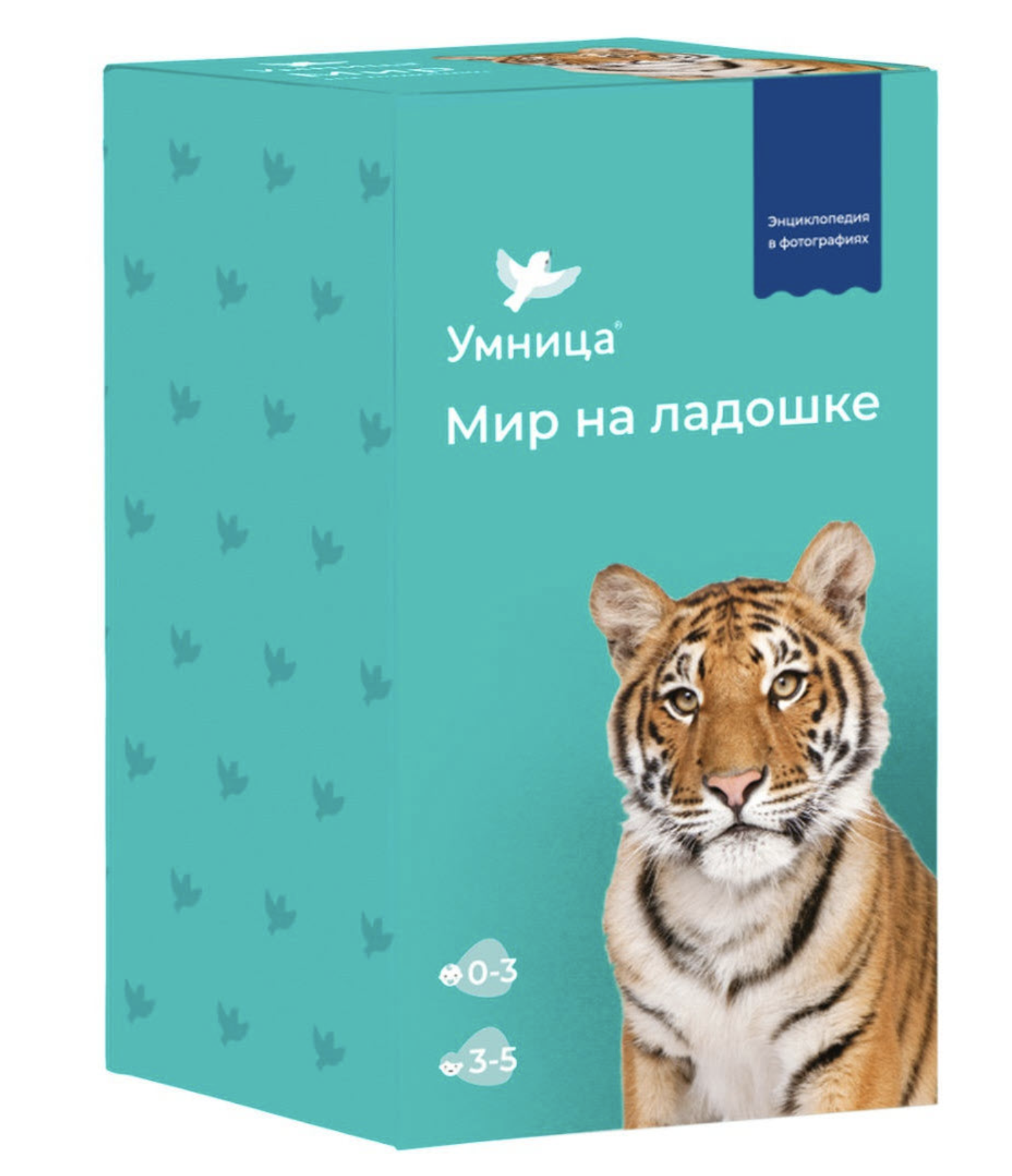 Мир на ладошке "Тигр". Детская энциклопедия в фотографиях. Развивающие карточки для малышей