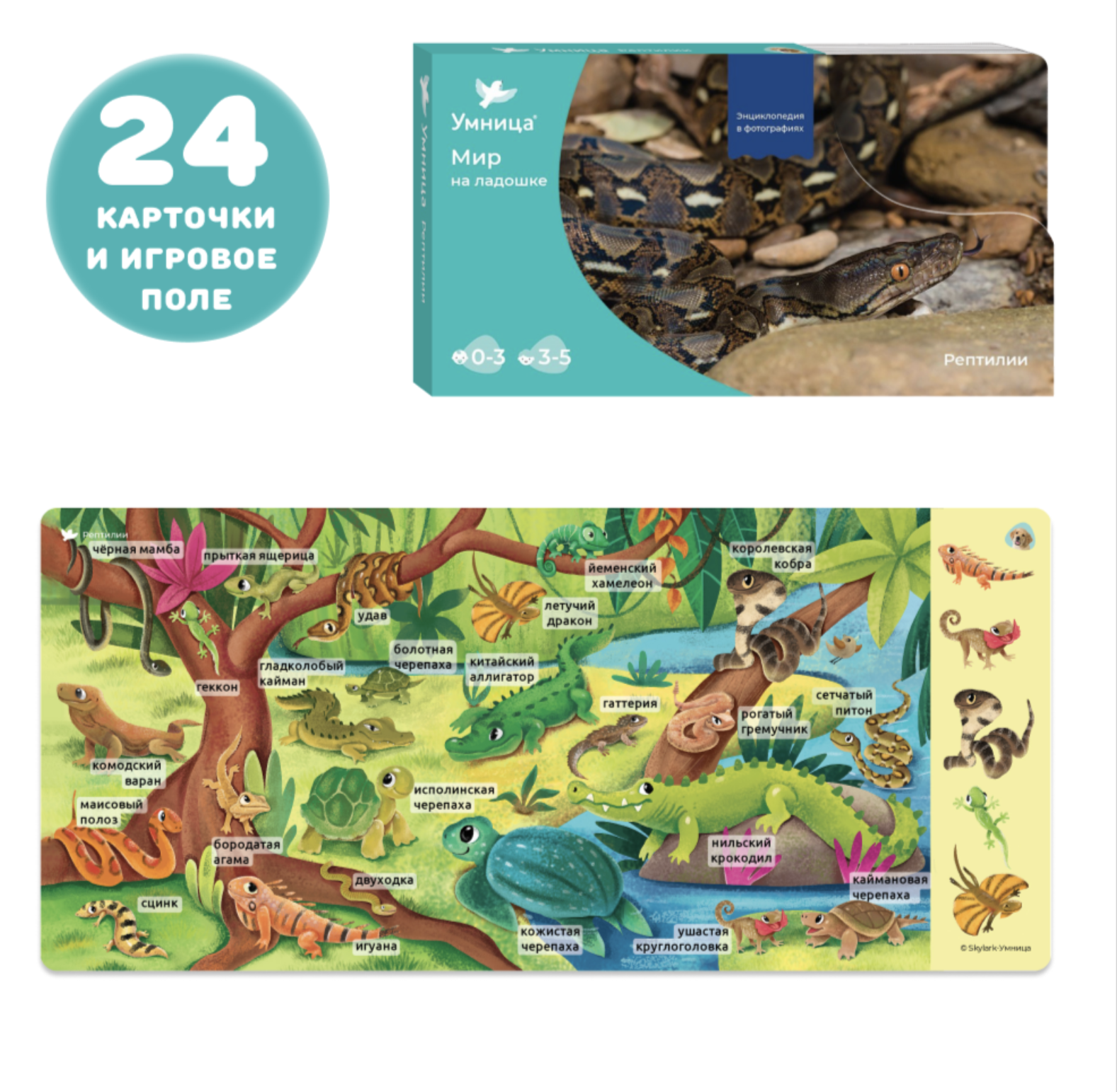 Мир на ладошке.  Рептилии. Энциклопедия для детей в фотографиях. Развивающие карточки для малышей