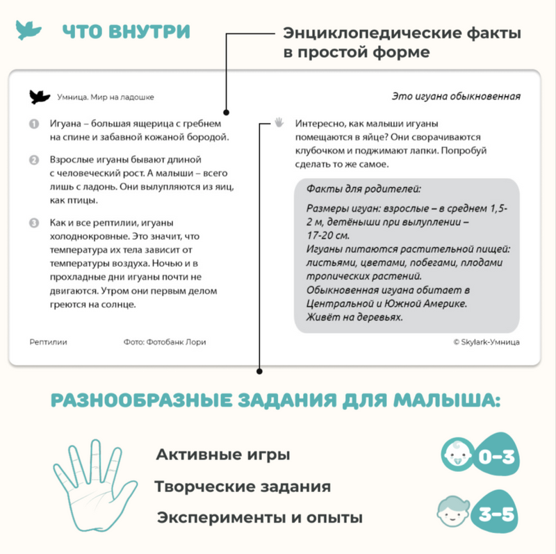 Мир на ладошке.  Рептилии. Энциклопедия для детей в фотографиях. Развивающие карточки для малышей
