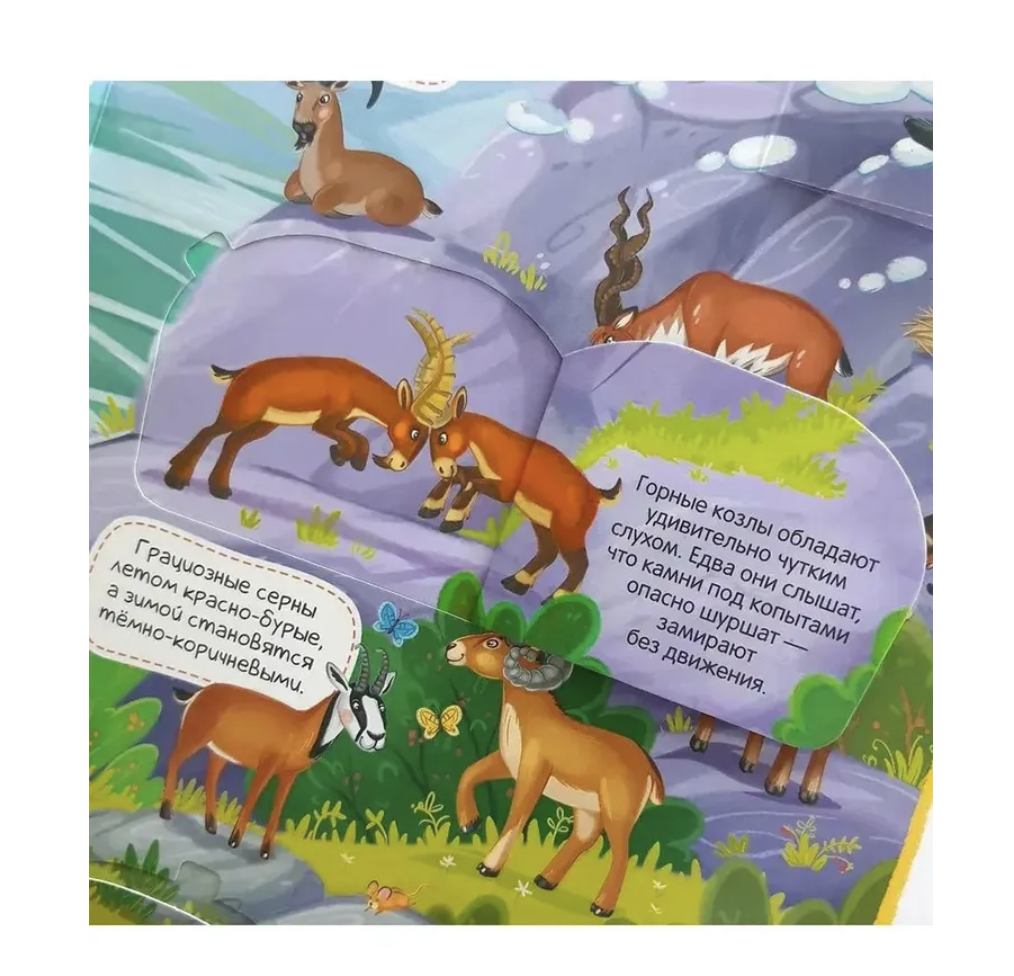 Виммельбух с окошками. Животные