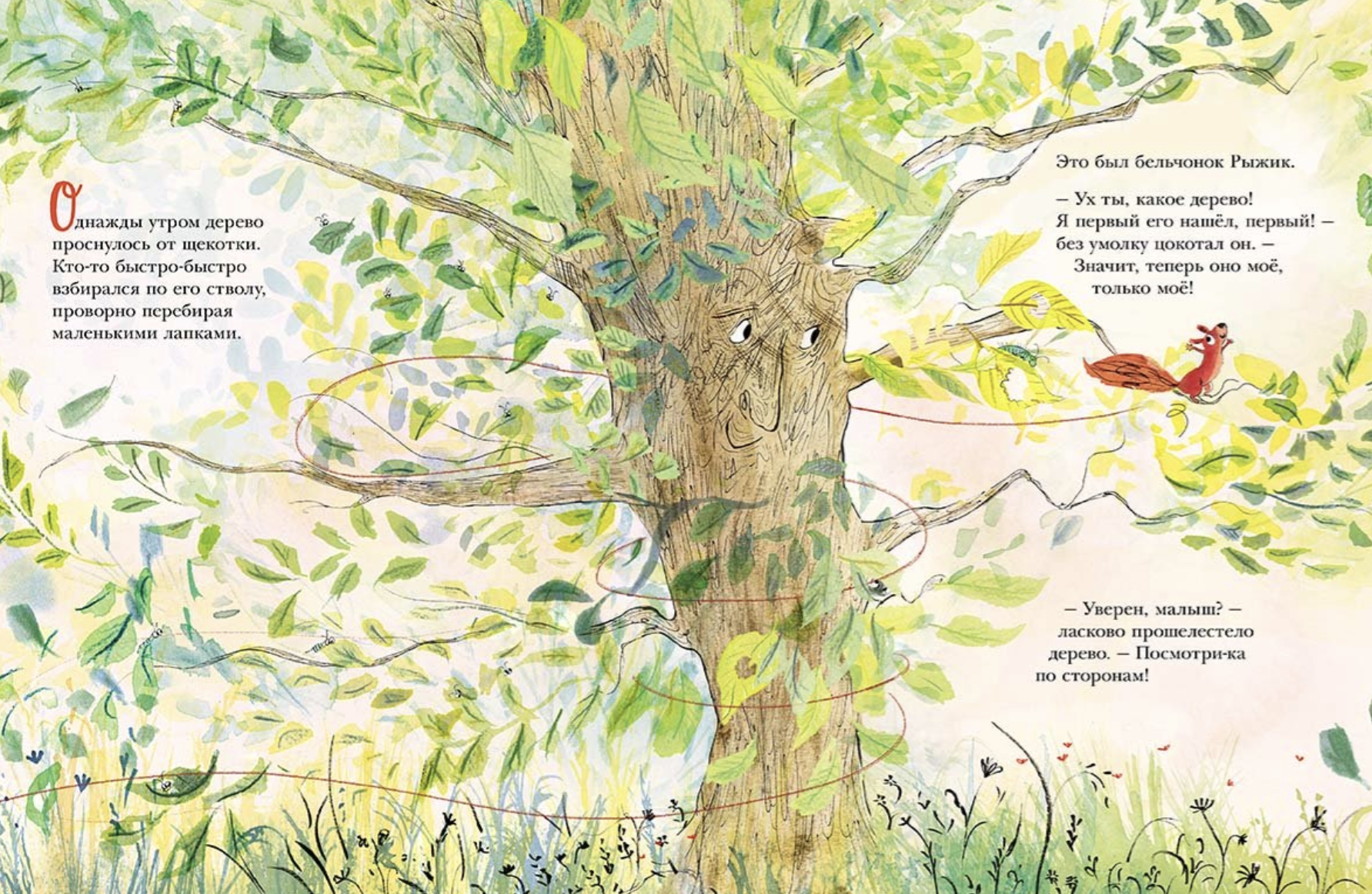 Дерево для Рыжика