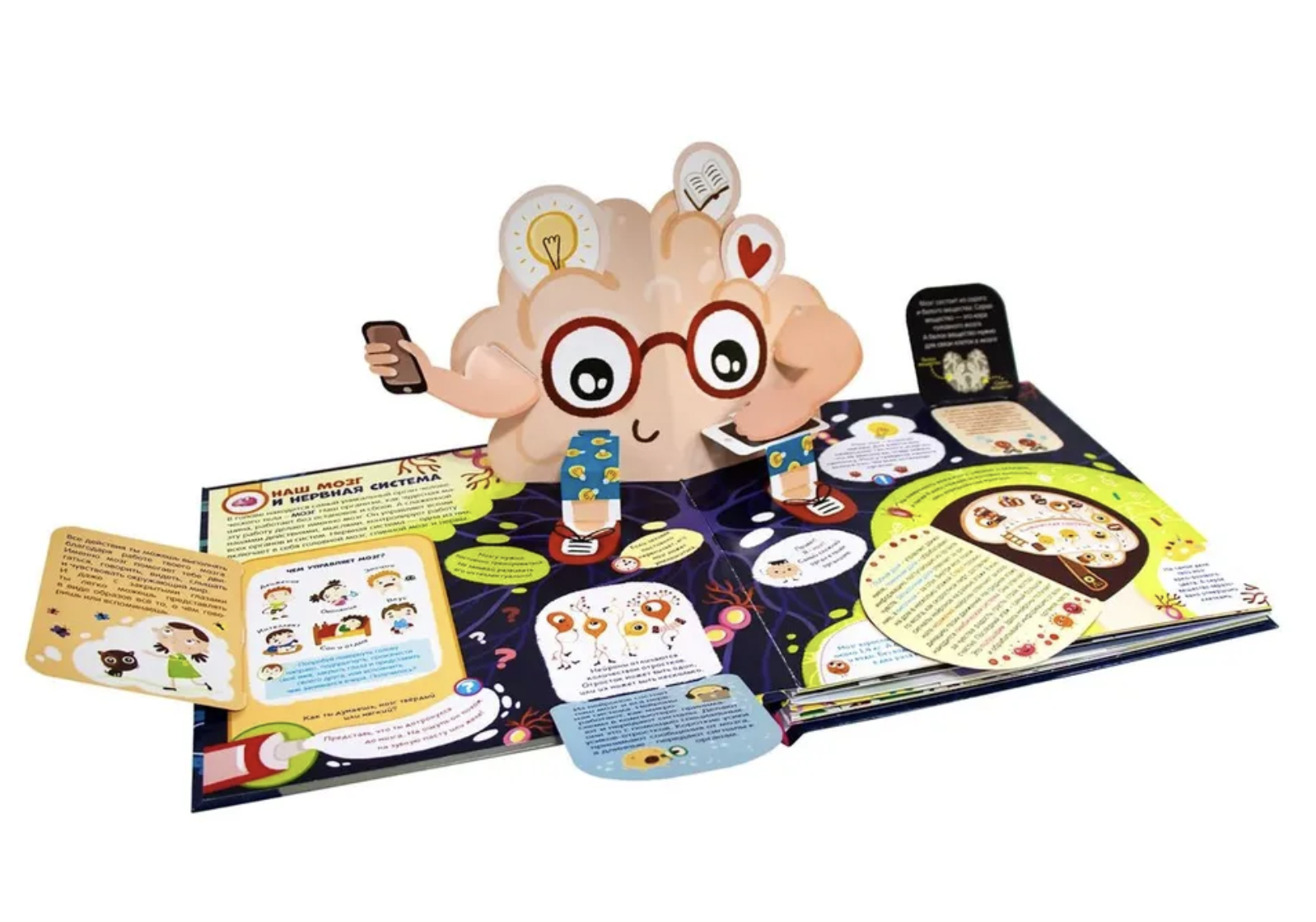 Мозг. Компьютер в моей голове. интерактивная энциклопедия с панорамными иллюстрациями. Книжка-панорамка