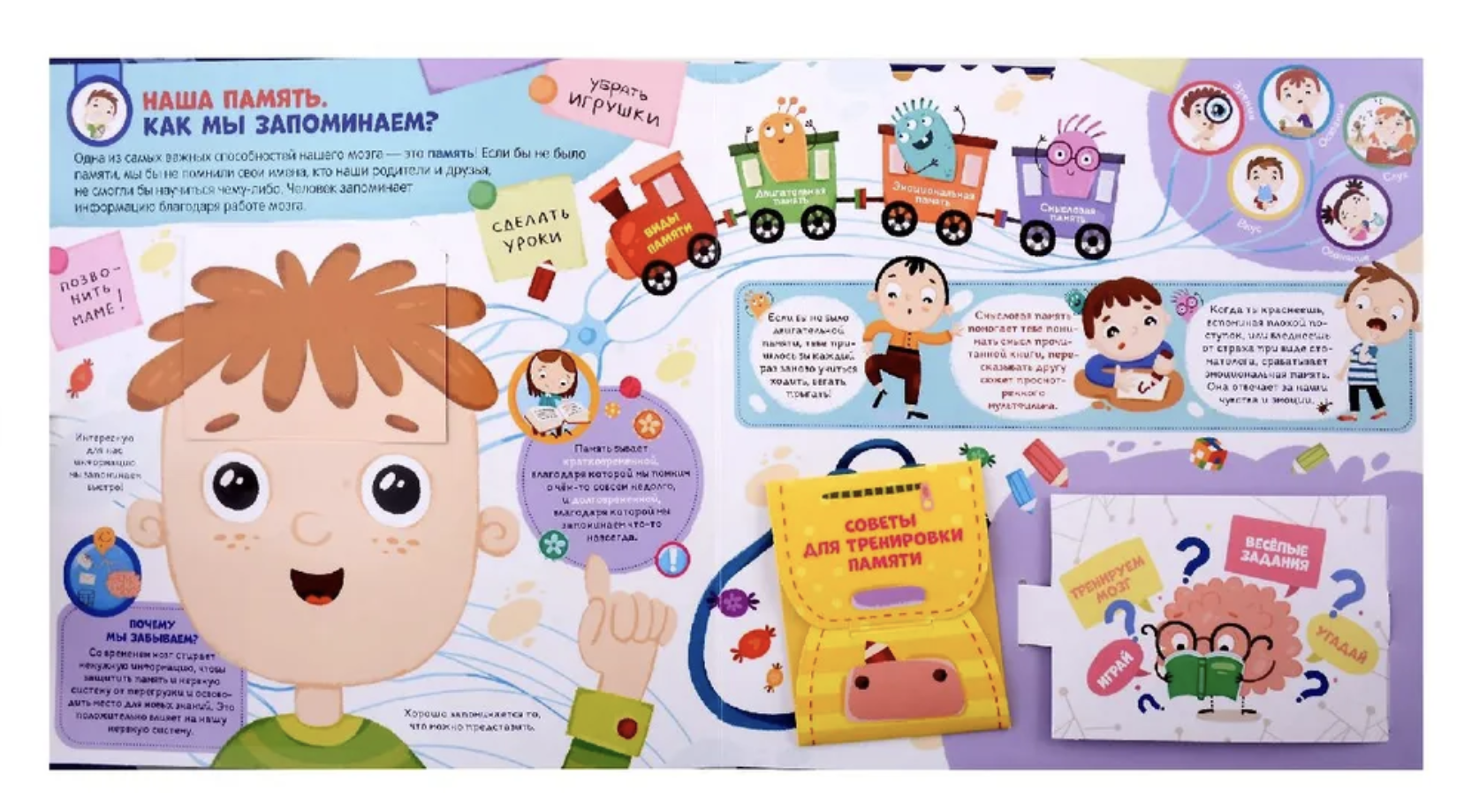 Мозг. Компьютер в моей голове. интерактивная энциклопедия с панорамными иллюстрациями. Книжка-панорамка