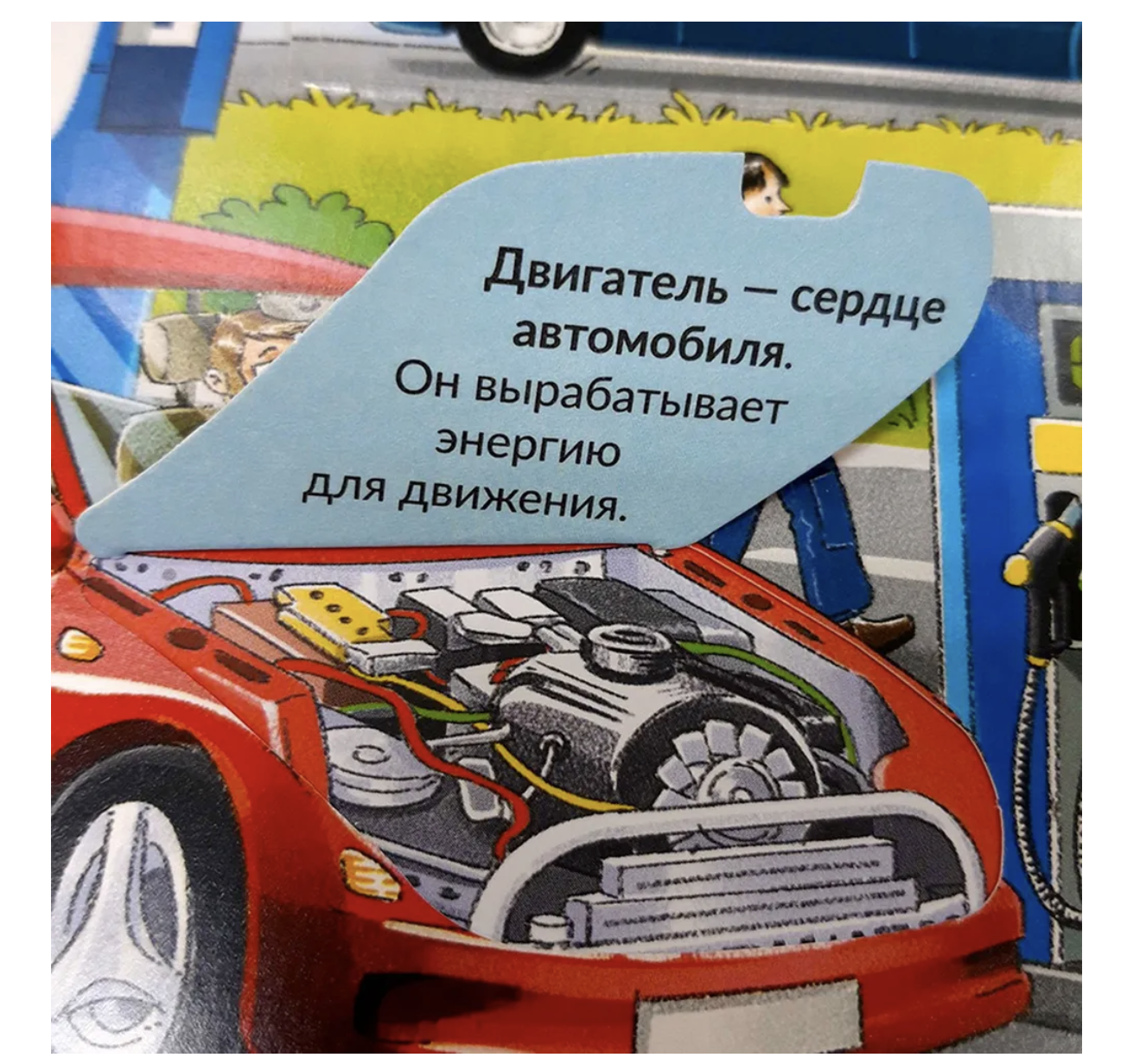 Как все устроено? Книжка с окошками