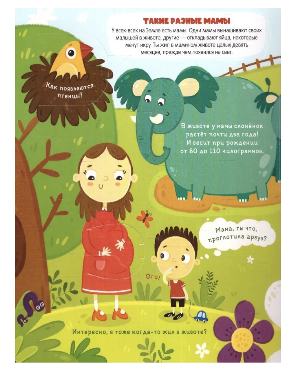 Откуда берутся дети? Книжка с окошками