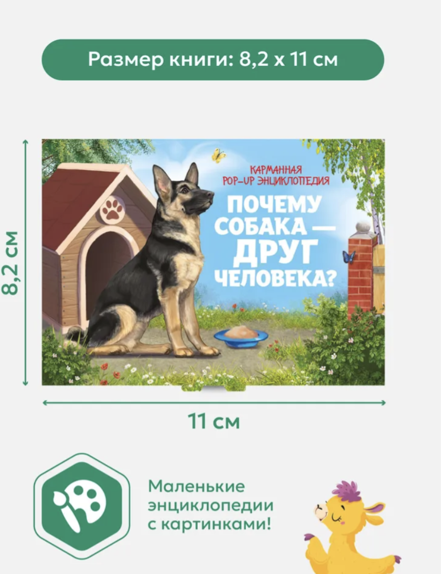 Набор из 6 панорамок-малышек. Комплект 1.  Коллекция карманных POP-UP энциклопедий. Книга-панорамка