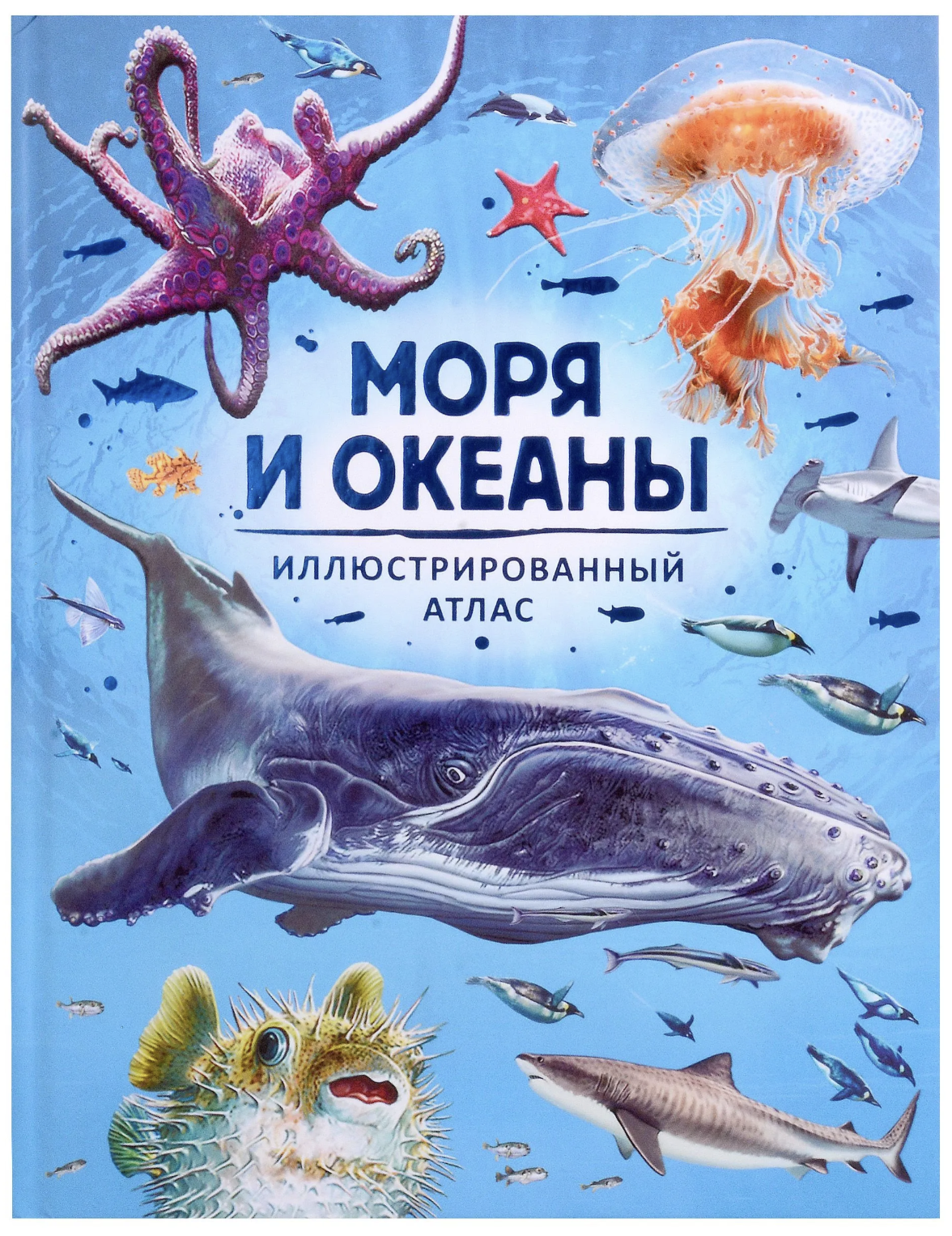 Моря и океаны. Иллюстрированный атлас