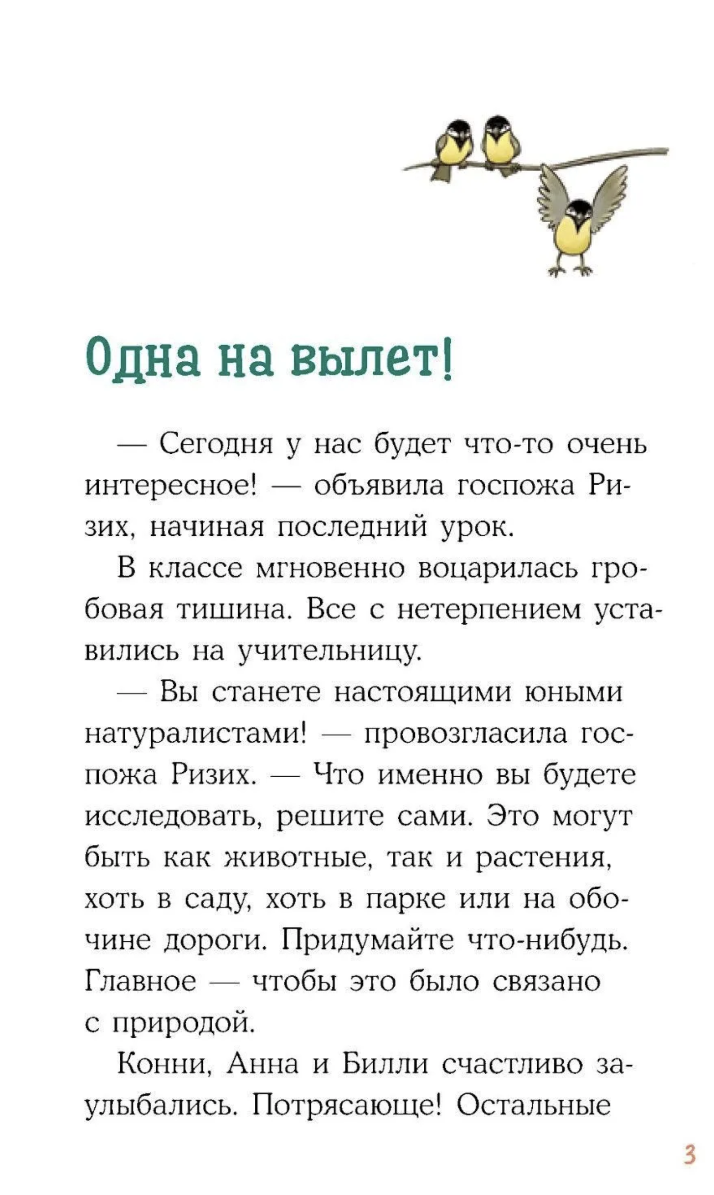Приключения Конни в ночном лесу. Юлия Бёме