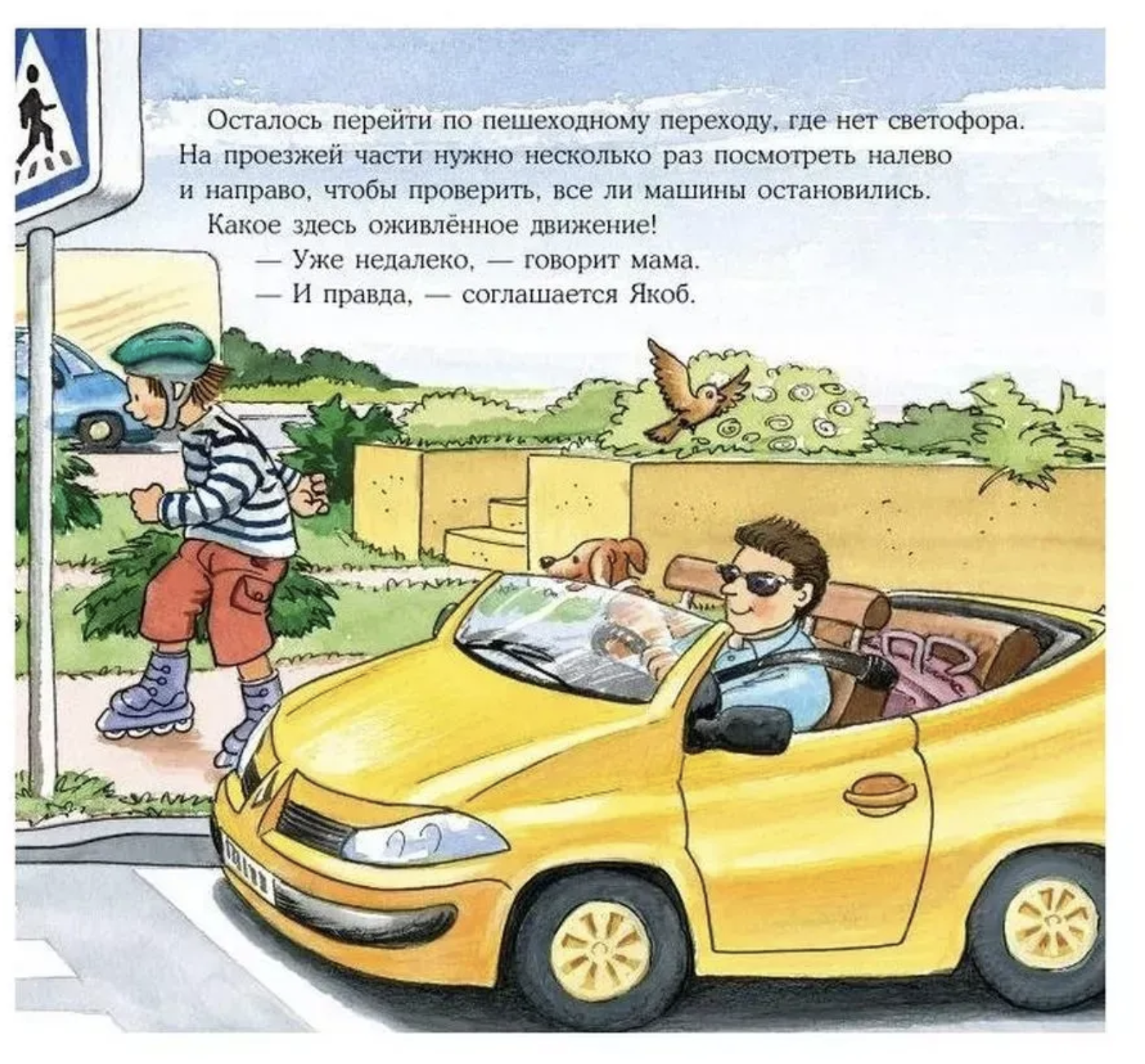 Якоб учит правила дорожного движения. Якоб - лучший друг Конни. Гримм Сандра