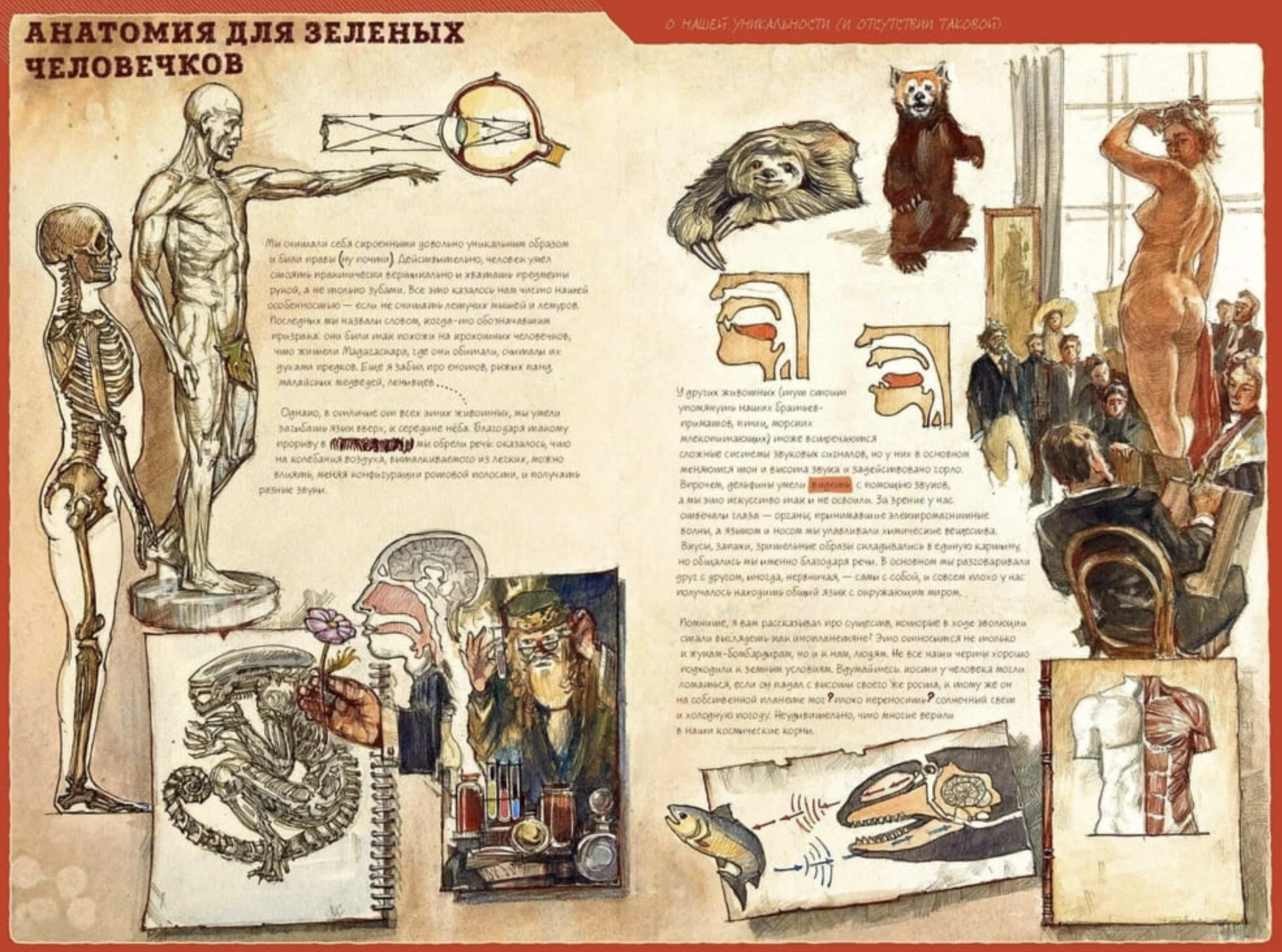 The Last Book. Дневник последнего человека на Земле. Ной Каплан