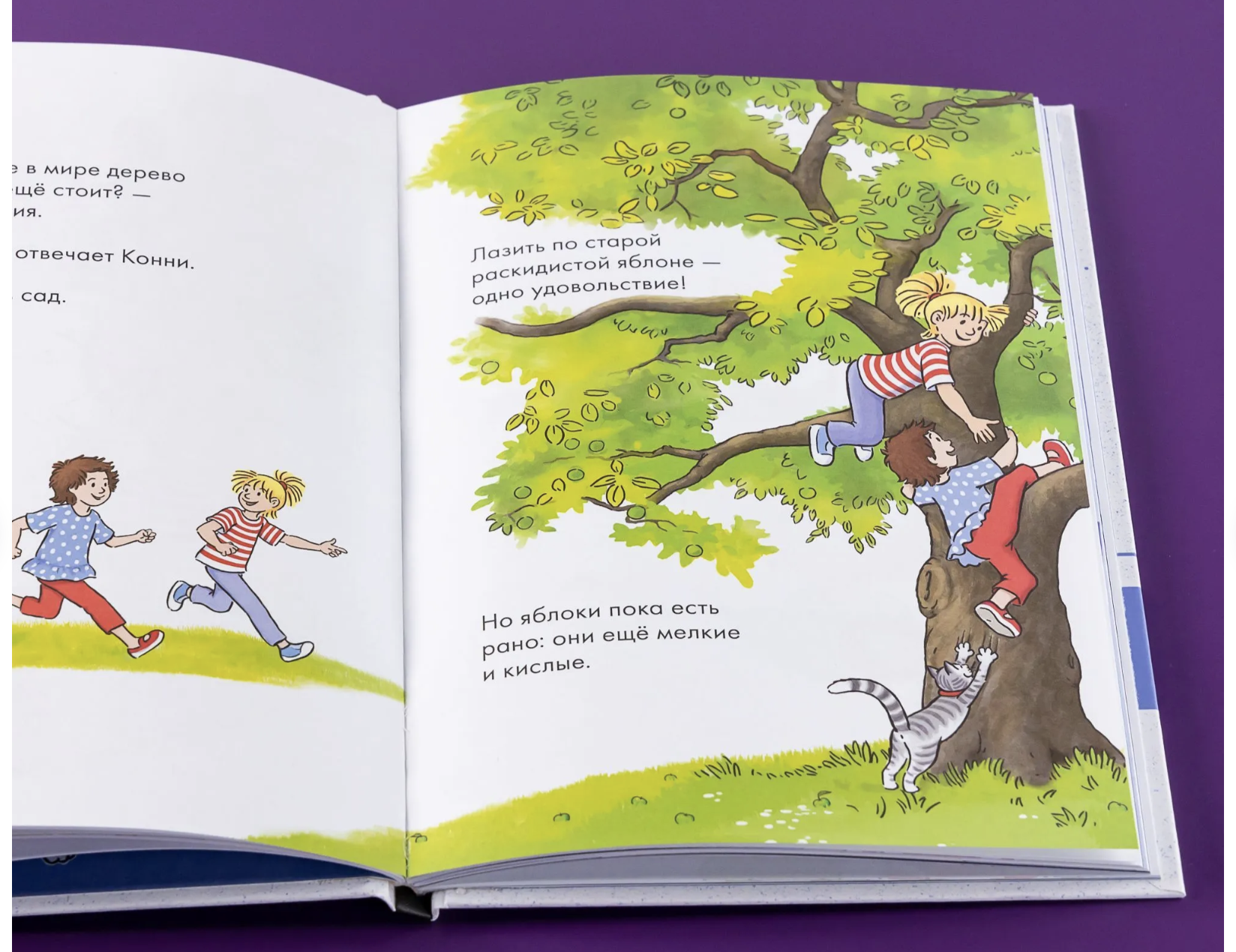 Комиксы с Конни. Звёзды дружбы.  Бёме Юлия