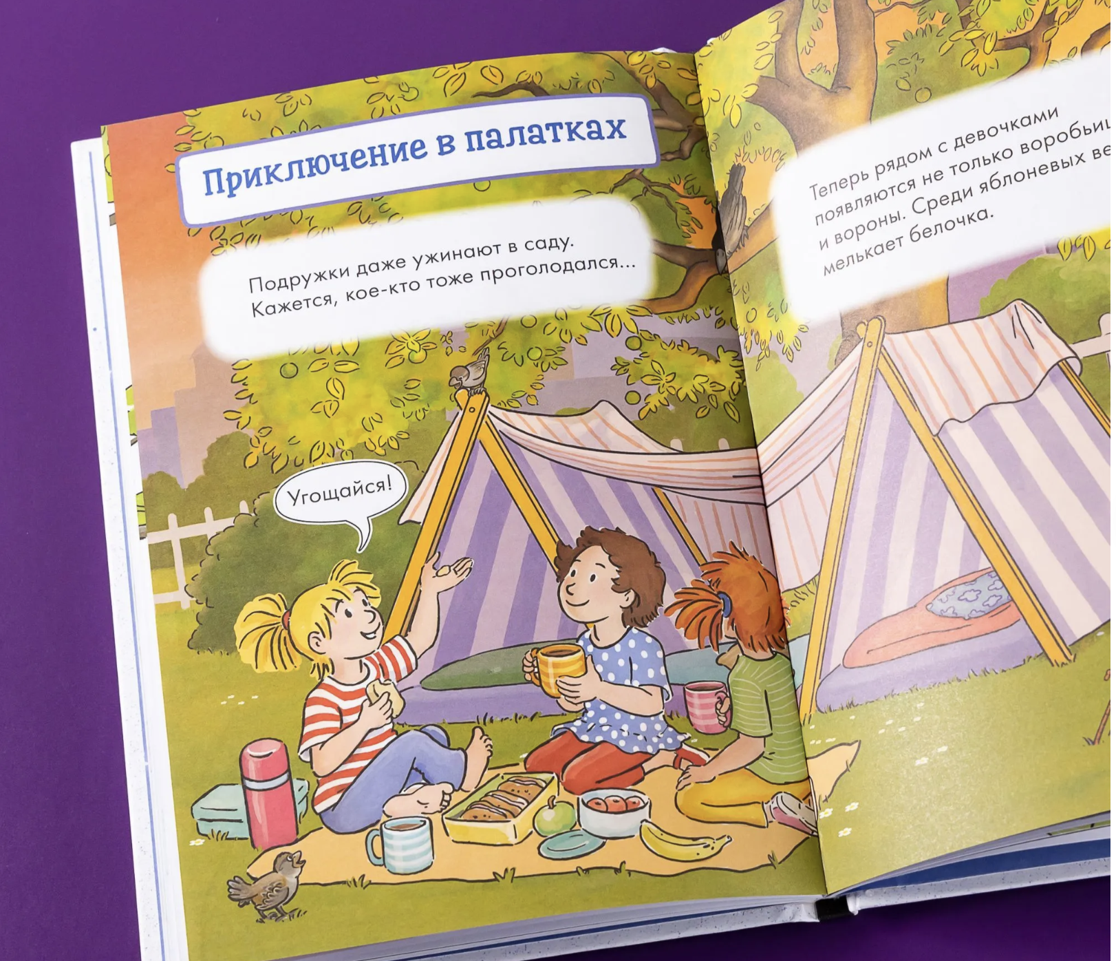 Комиксы с Конни. Звёзды дружбы.  Бёме Юлия