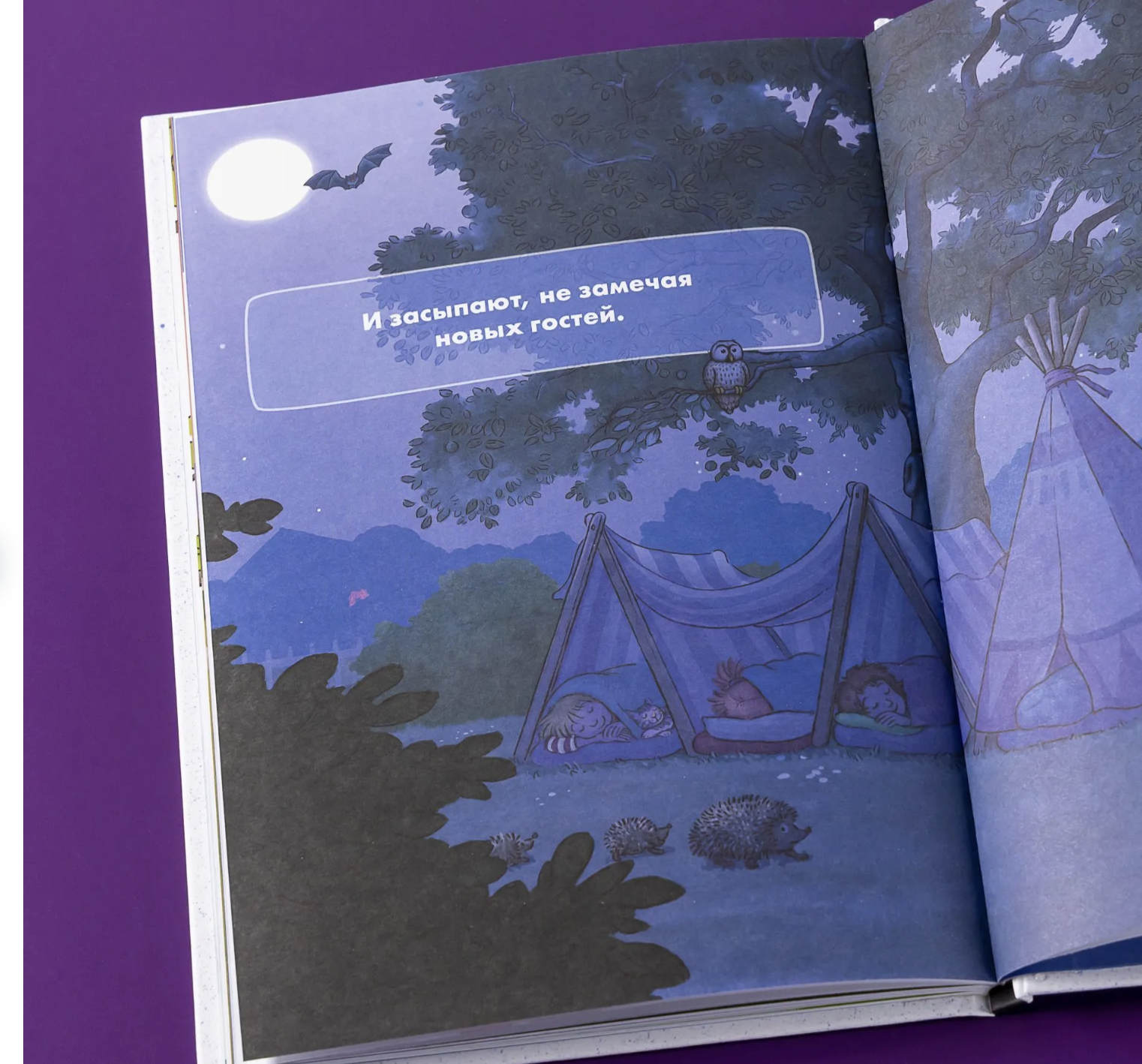 Комиксы с Конни. Звёзды дружбы.  Бёме Юлия