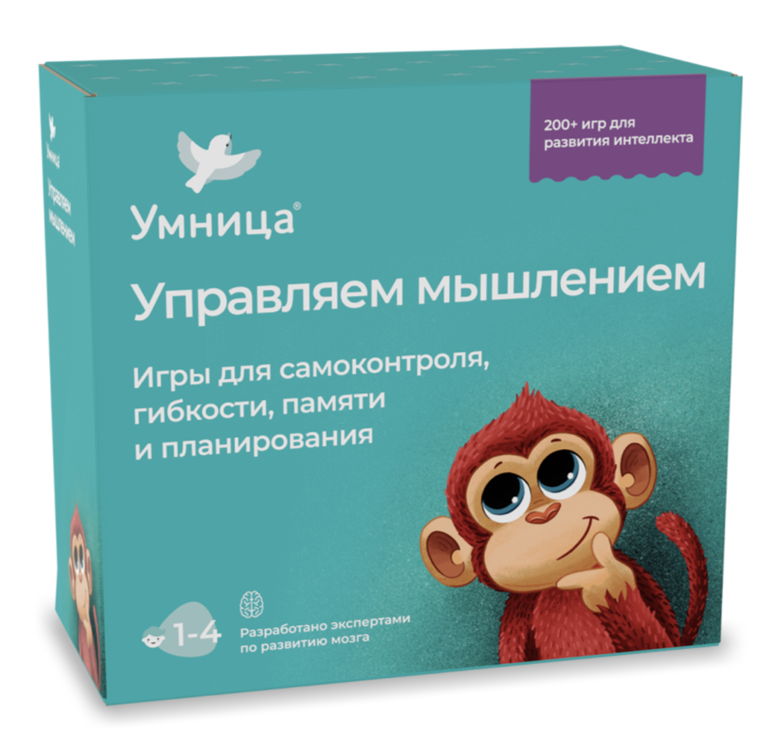Управляем мышлением. Программа развития интеллекта