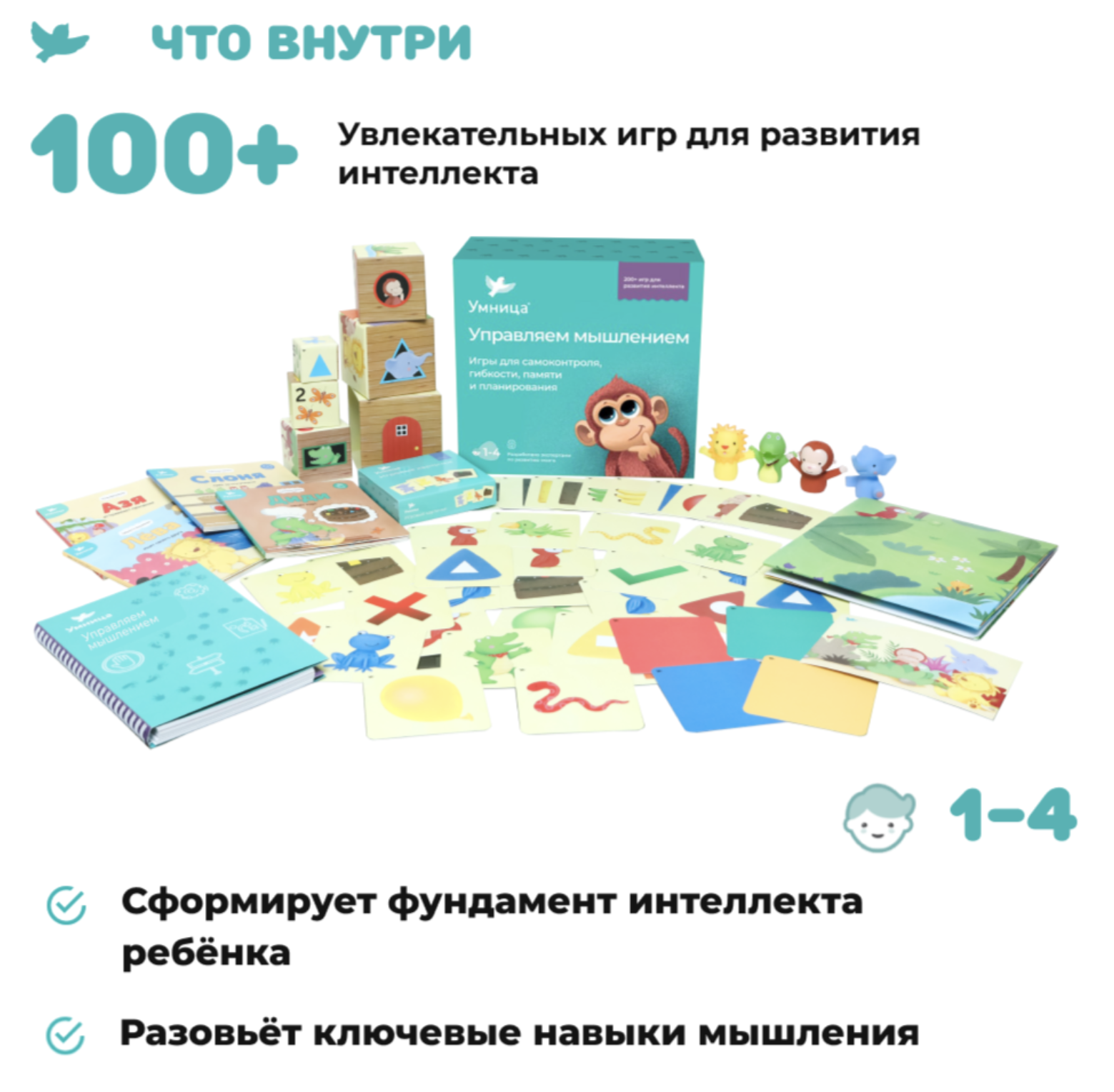 Управляем мышлением. Программа развития интеллекта