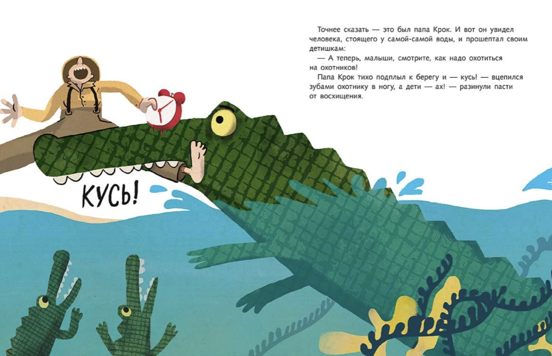 Крокодильник. Ронкалья Сильвия