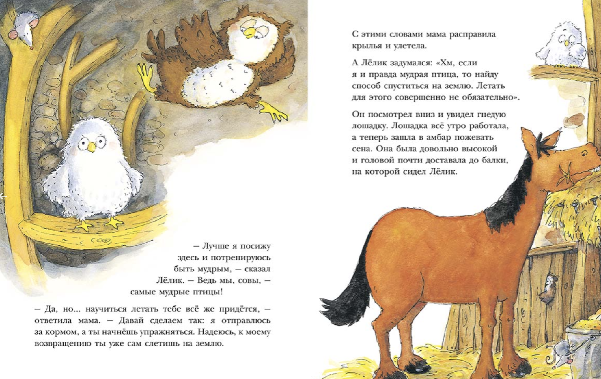 Ленивый Лёлик. Колман Майкл
