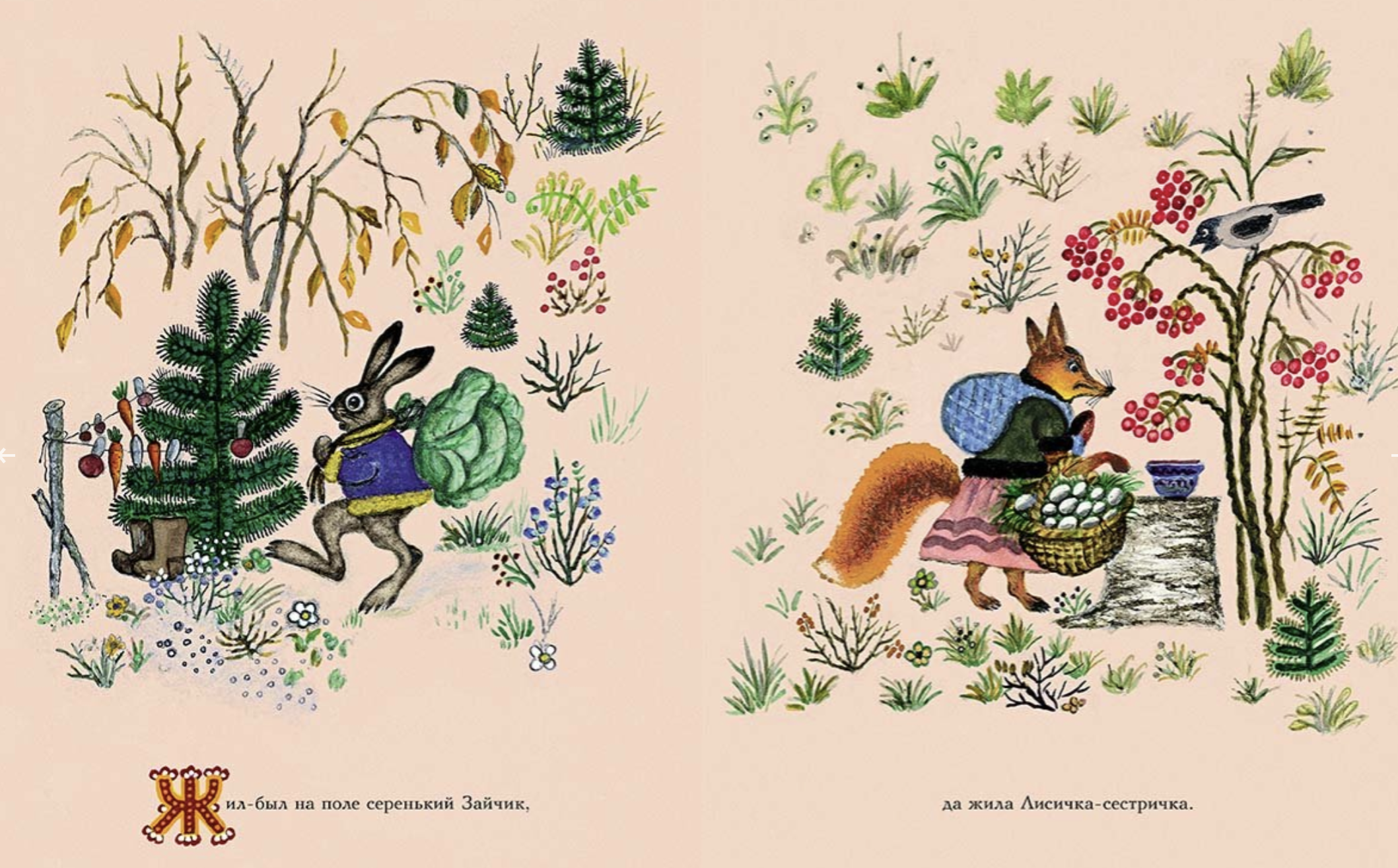 Лиса и заяц (иллюстратор Васнецов Юрий)
