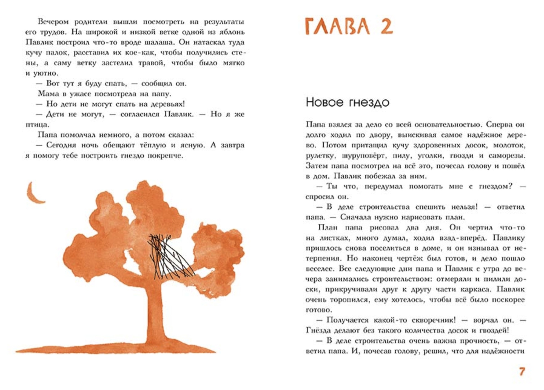 Мальчик, который стал птицей. Городенцева Татьяна