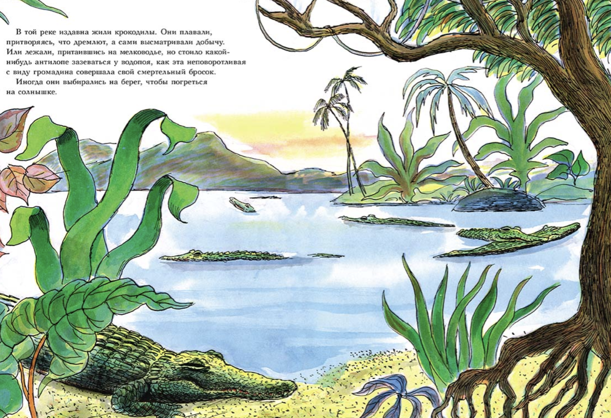 Обезьянка и крокодил. Гэльдон Пол