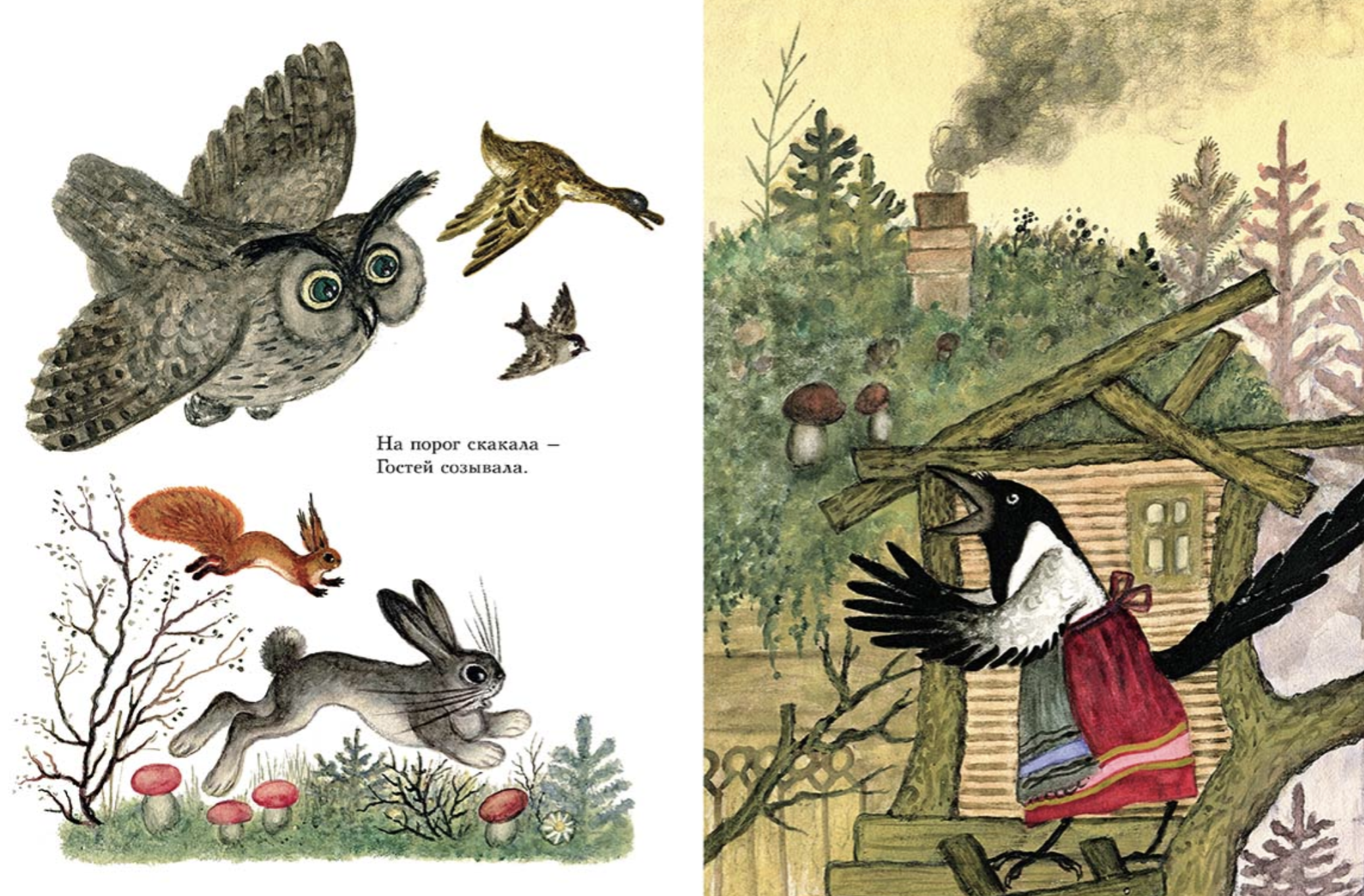 Сорока-белобока (иллюстратор Васнецов Юрий)