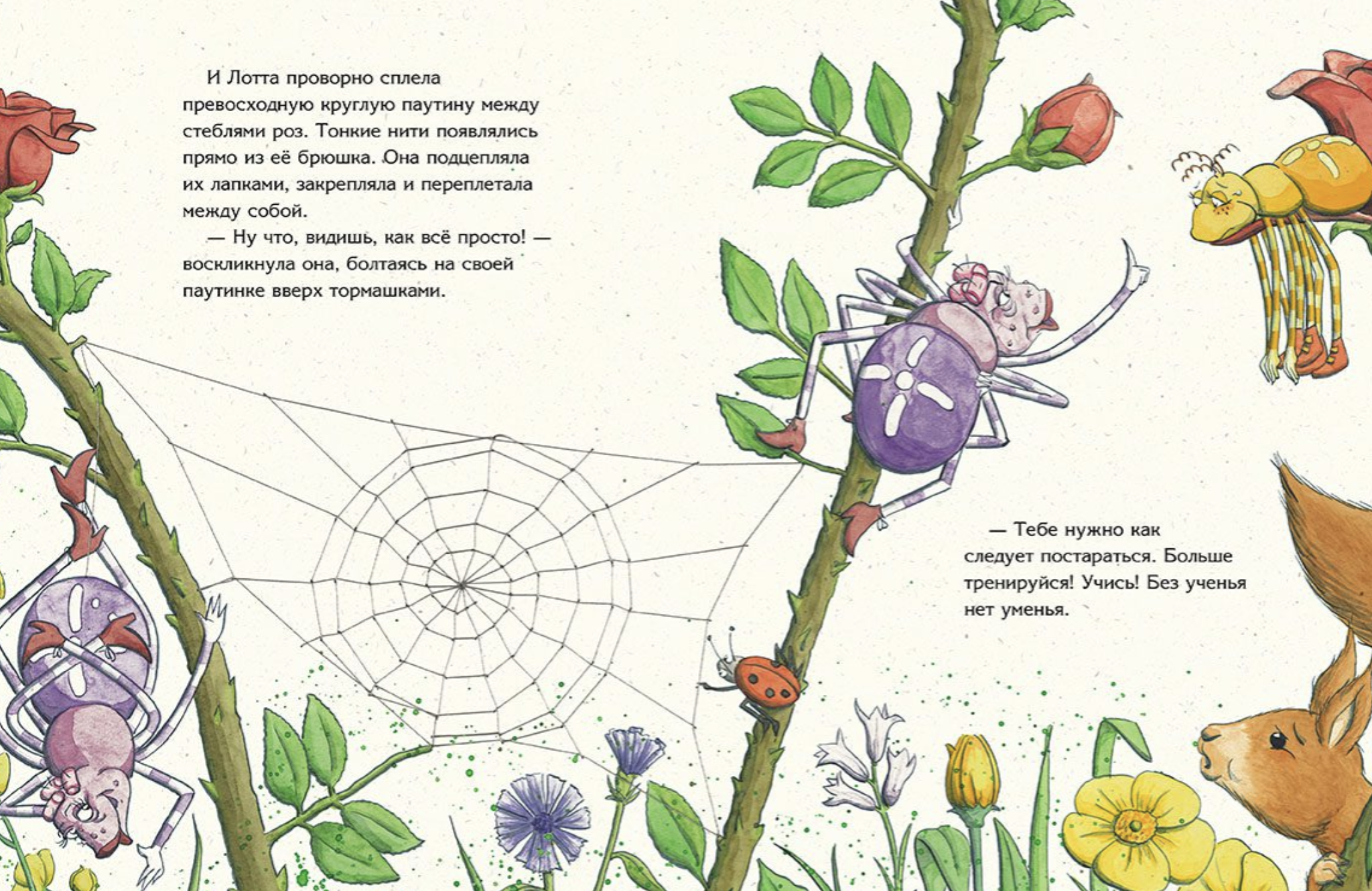 Что придумал паучок. Циглер Тине