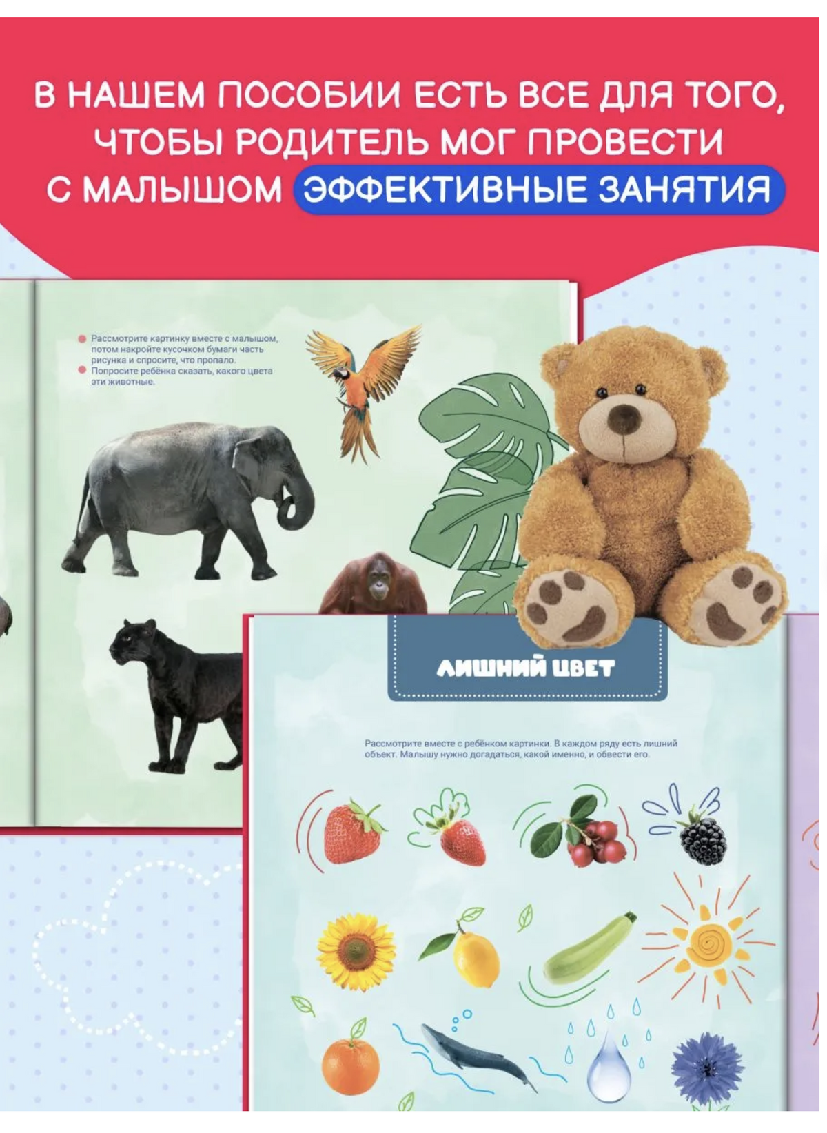Ваш малыш. Шаг за шагом. Помесячный план развития 2+.  Ахмадуллин Шамиль Тагирович