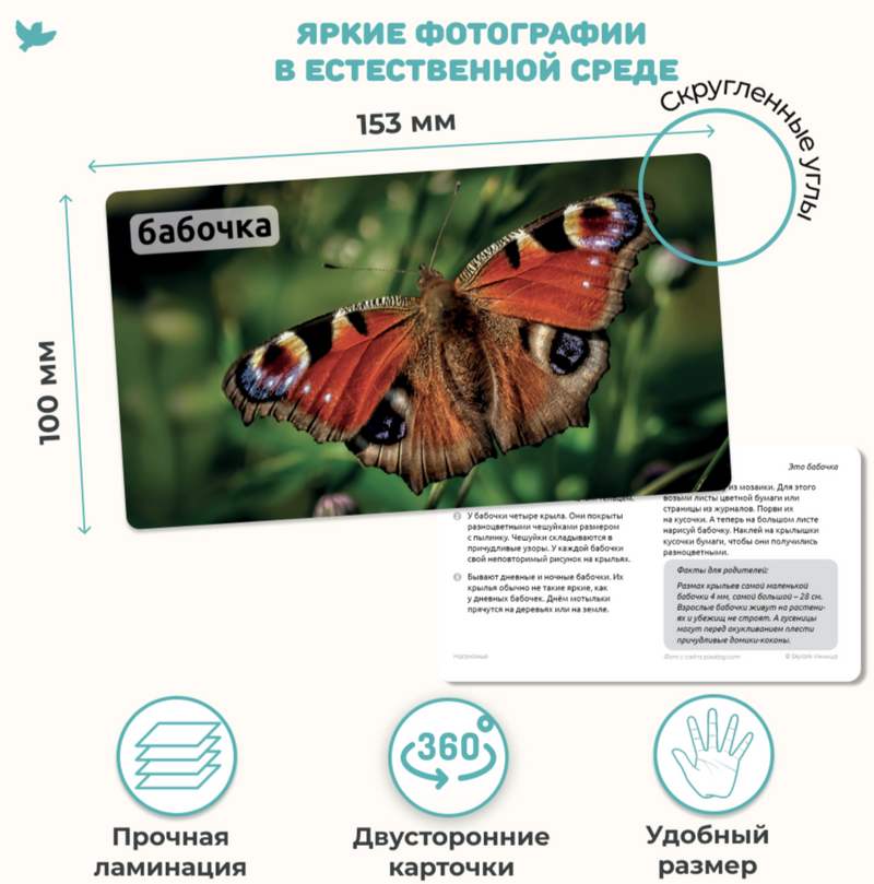 Мир на ладошке "Жираф". Детская энциклопедия в фотографиях. Развивающие карточки для малышей