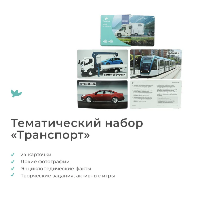 Мир на ладошке "Енот". Детская энциклопедия в фотографиях. Развивающие карточки для малышей