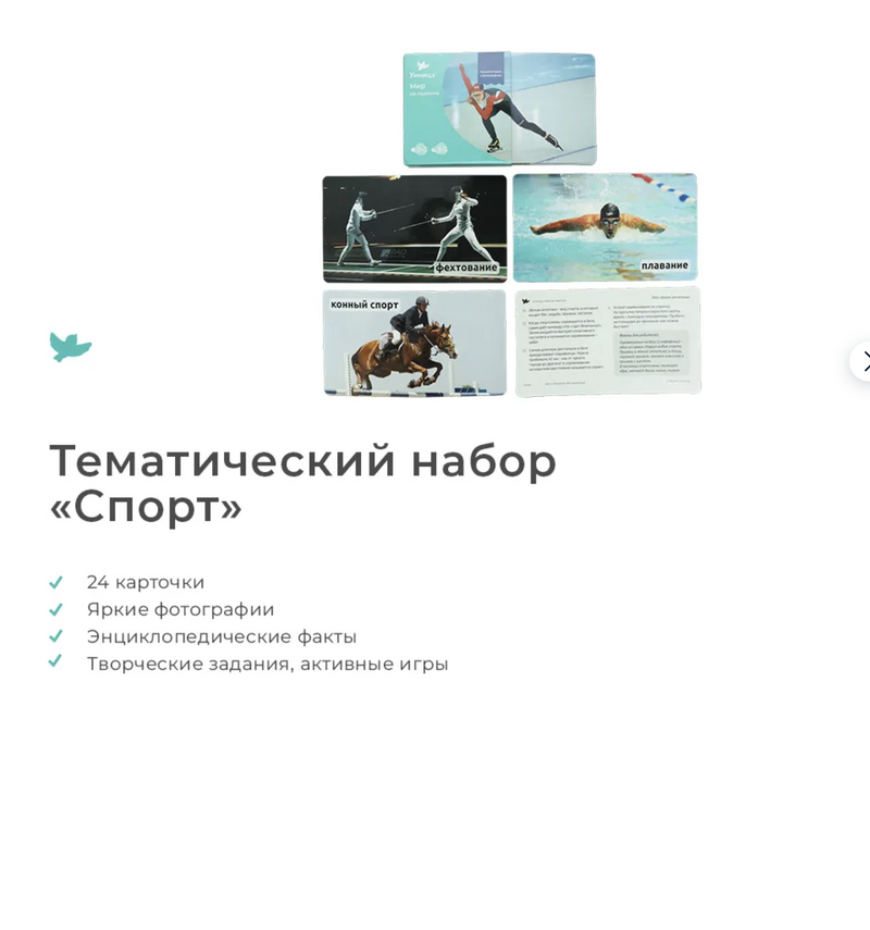 Мир на ладошке "Енот". Детская энциклопедия в фотографиях. Развивающие карточки для малышей