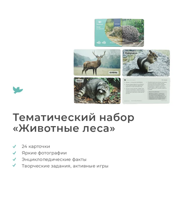 Мир на ладошке "Енот". Детская энциклопедия в фотографиях. Развивающие карточки для малышей