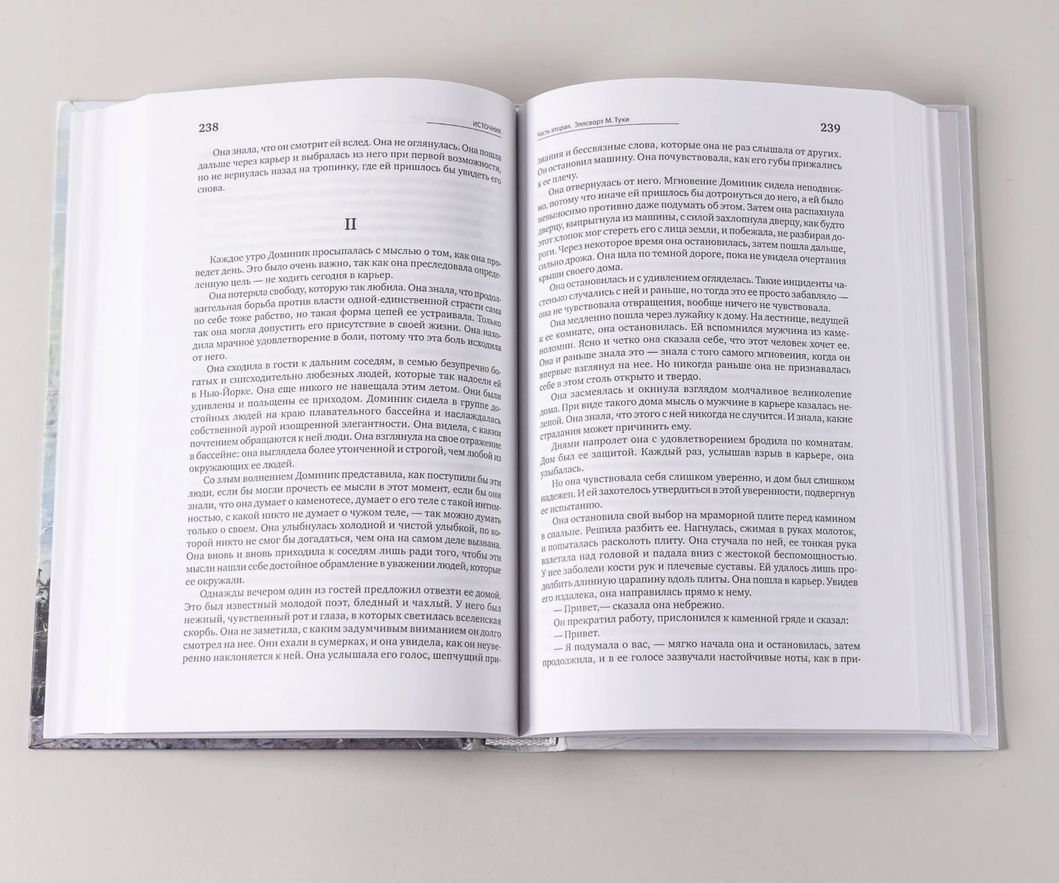 Источник (комплект из 2 книг). Рэнд Айн