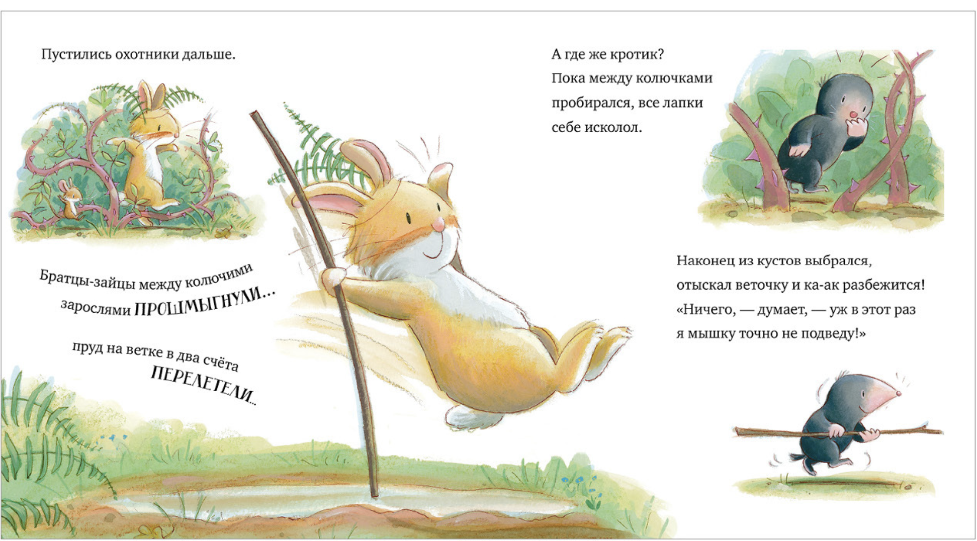 Лапы прочь от мёда! (мягкая обложка) Чапмен Джейн