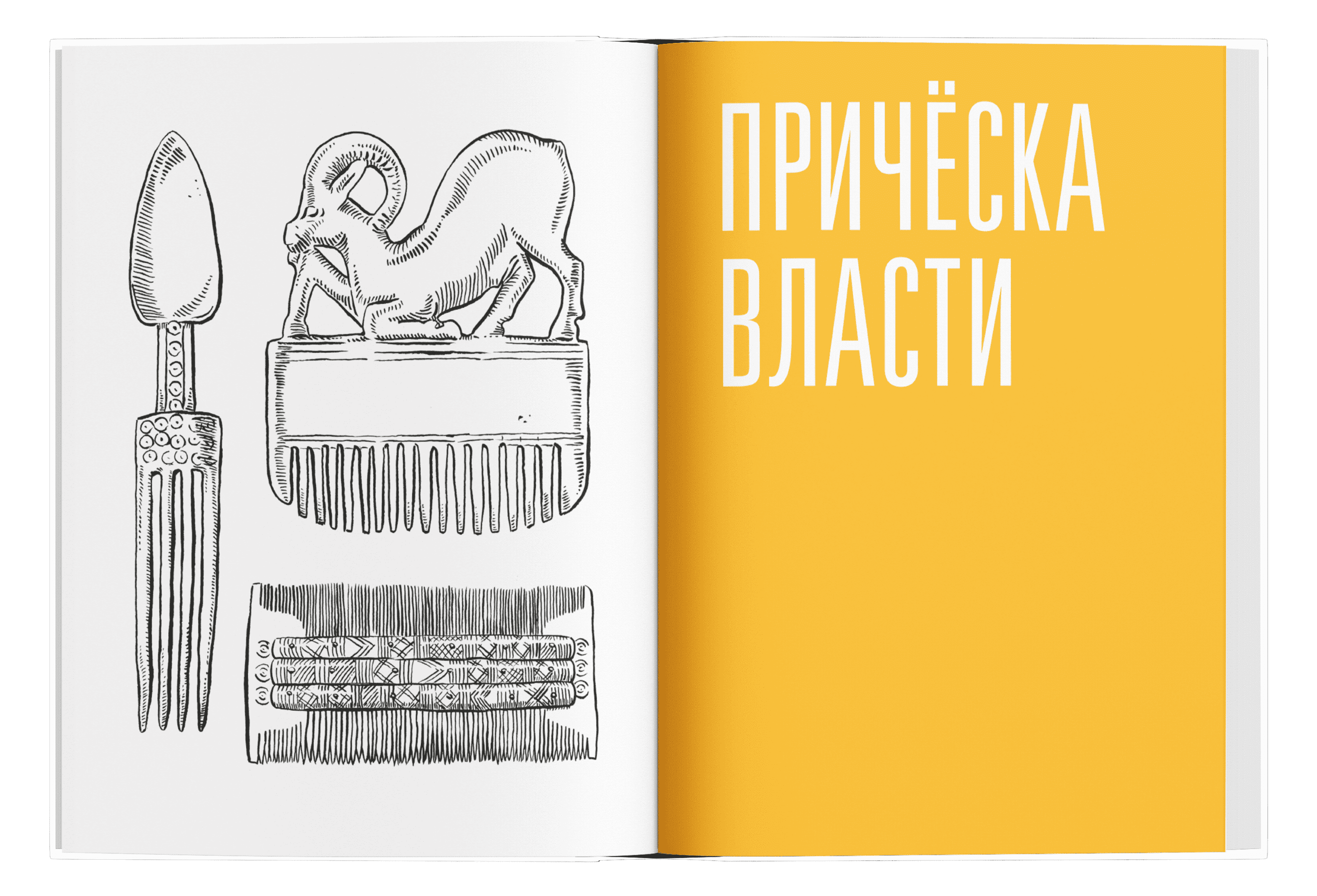 Волосы. Почему их цвет, длина и форма всегда имеют значение. Пьер д'Онно, Луиза Веркор