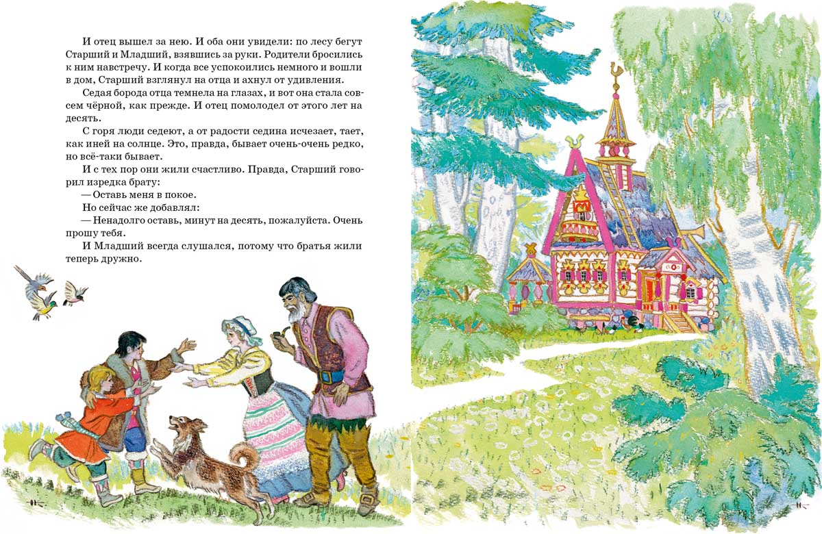 Два брата. Шварц Евгений. Иллюстратор Кочергин Николай