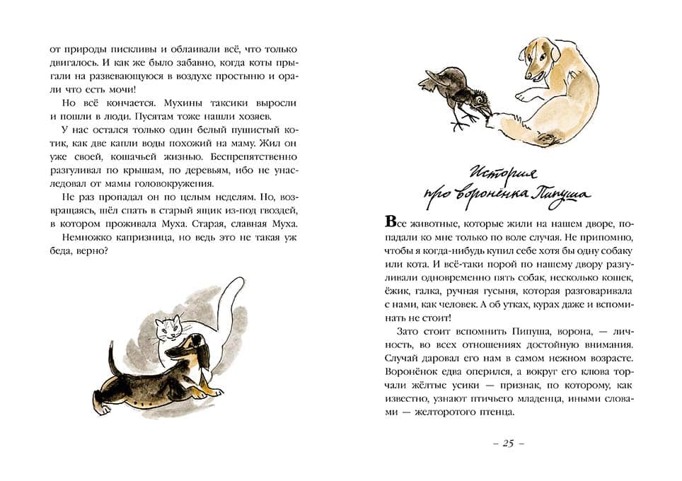Муха с капризами. Грабовский Ян