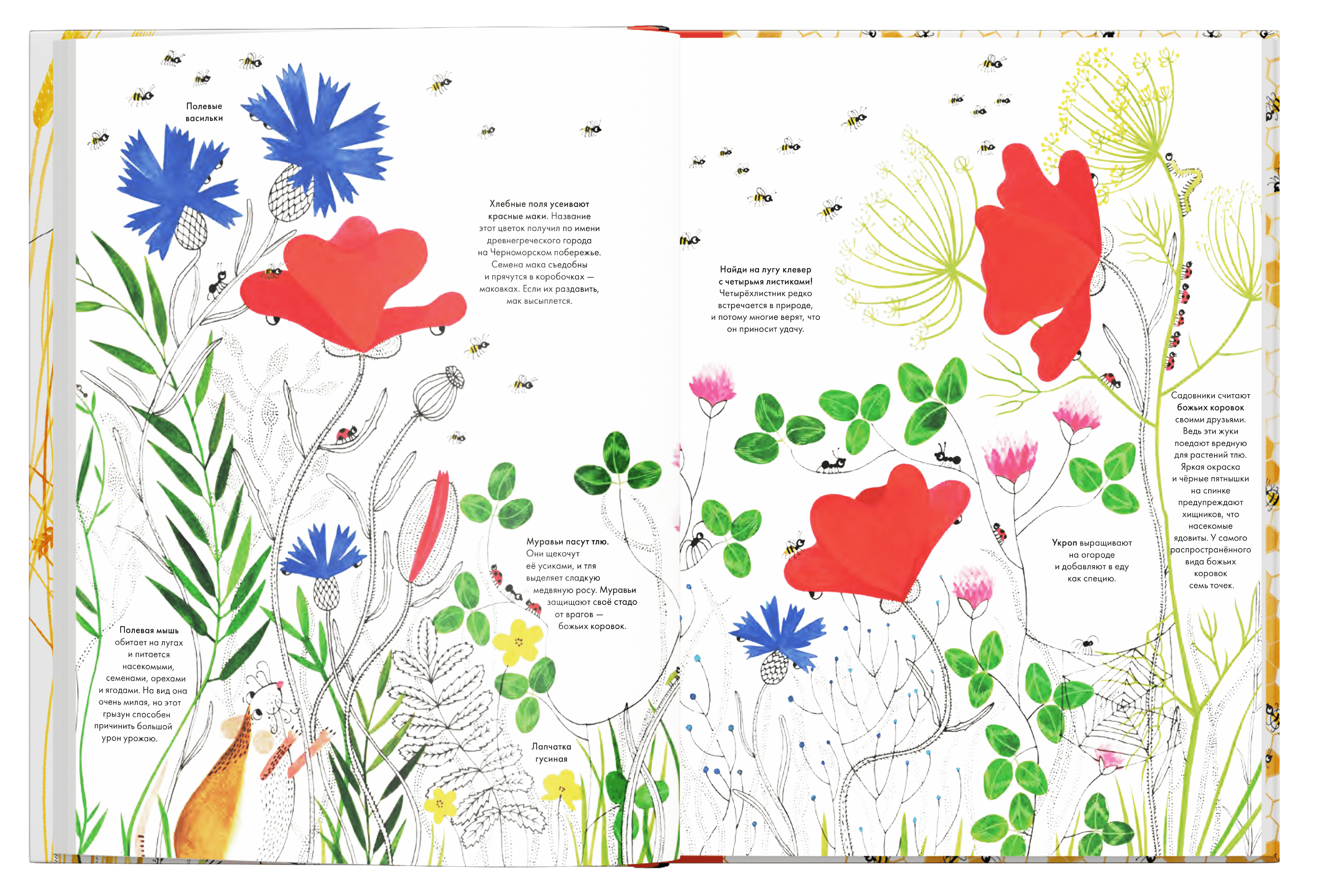 Тысяча и одна пчела. Иоанна Жезак